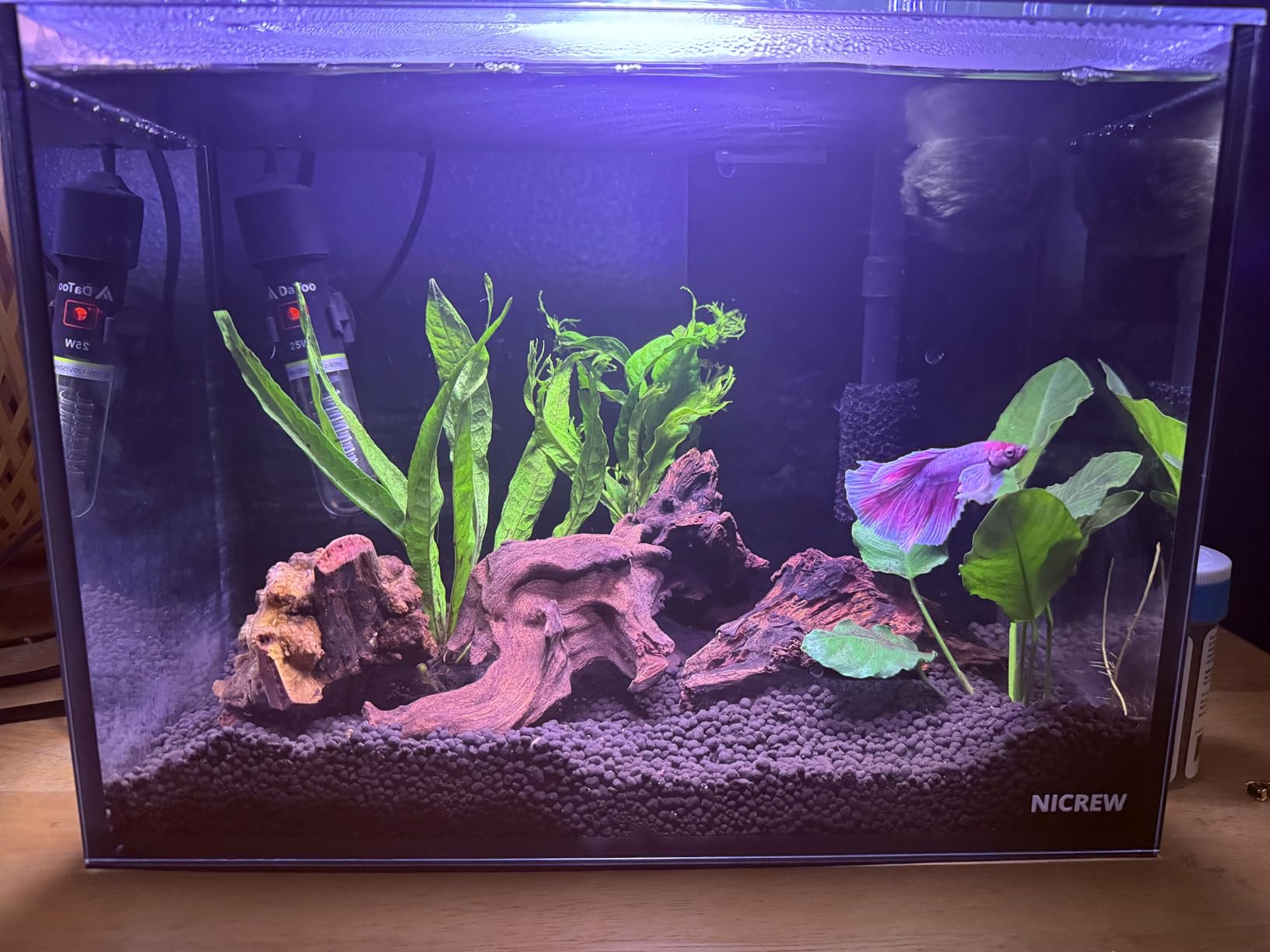 NICREW 2.5 Gallon Nano Nature Aquarium Kit Betta Fish Tank, Complete, Black customer photo 1