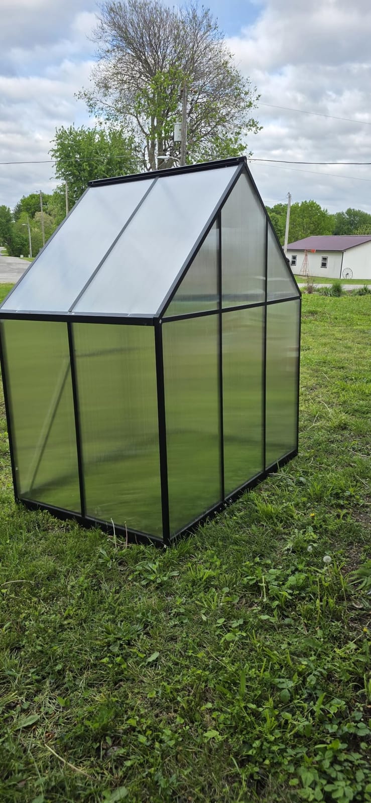8X14FT Green House with Thermometers, Large Aluminum Greenhouse for Outdoor customer photo 1