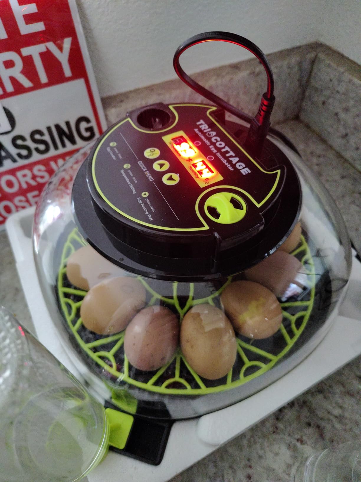 Incubators for Hatching Eggs 12 Egg Incubator with Automatic Egg Turning and Humidity Control,Egg Candler,Auto Water Replenishment,for Chicken Eggs and Quail Egg M12H customer photo 1