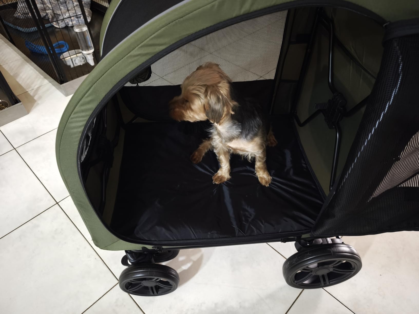 PAWZIDEA Portable Dog Crate for Car Travel, Medium & Large Dogs Up to 80lbs customer photo 1