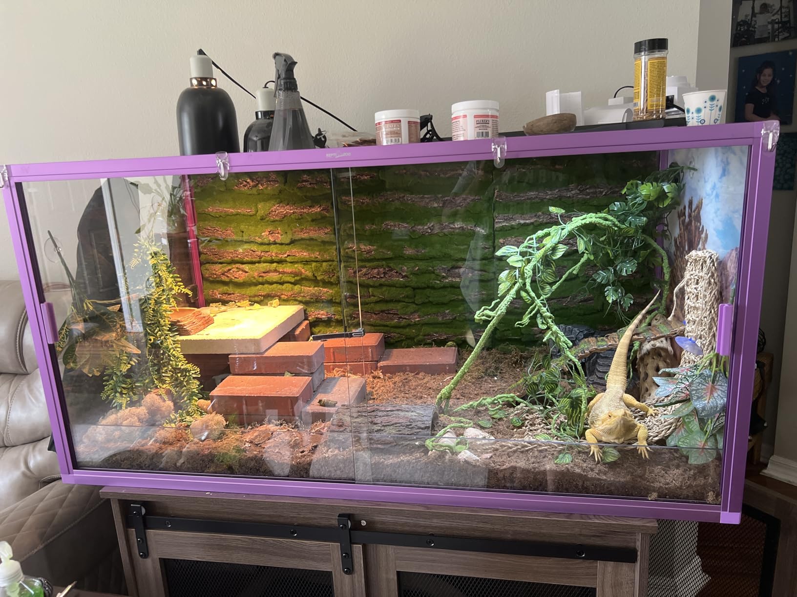 REPTI ZOO 120 Gallon Reptile Terrarium, 4x2x2 ft Light Weight Reptile Enclosure, Colored Reptiles Tank with Tempered Glass Door, Large Aluminum Habitat for Bearded Dragon, Snake, Lizard, Gecko-Purple customer photo 1