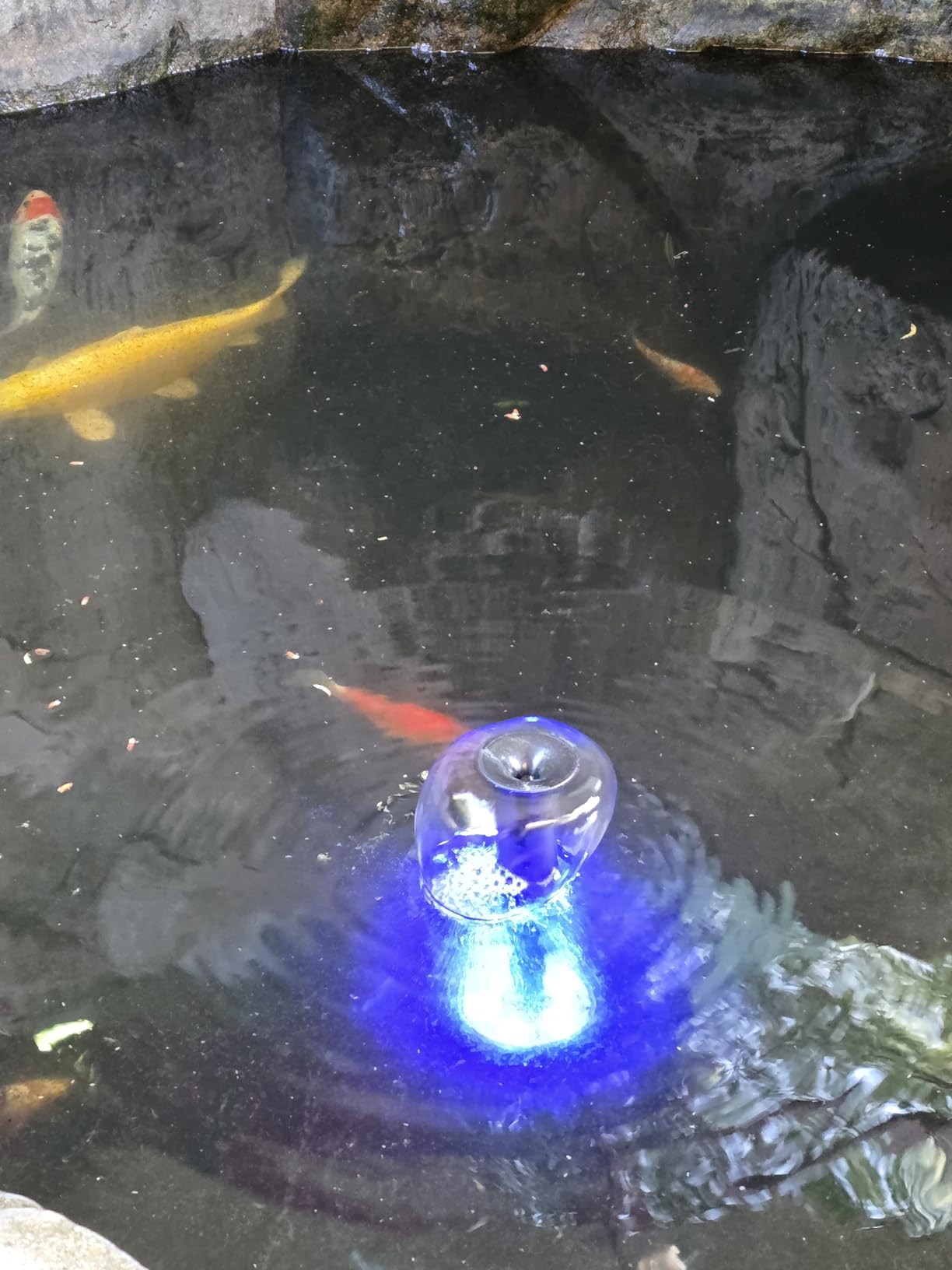 AquaMiracle Pond Filter with Fountain Kits & Remote Control LED Lights customer photo 2