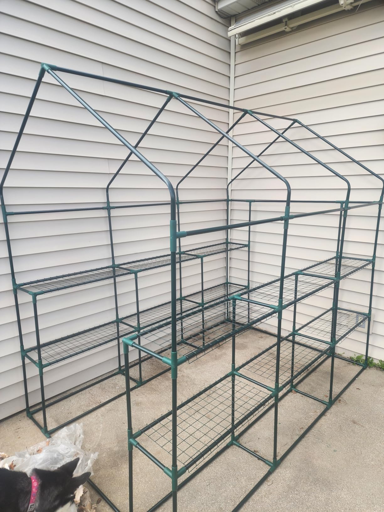 SPECILITE 56×85×77Inch Walk-in Greenhouse for Outdoors Garden Plant, Green customer photo 1