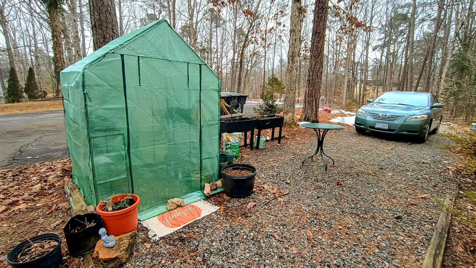 SPECILITE 56×85×77Inch Walk-in Greenhouse for Outdoors Garden Plant, Green customer photo 2