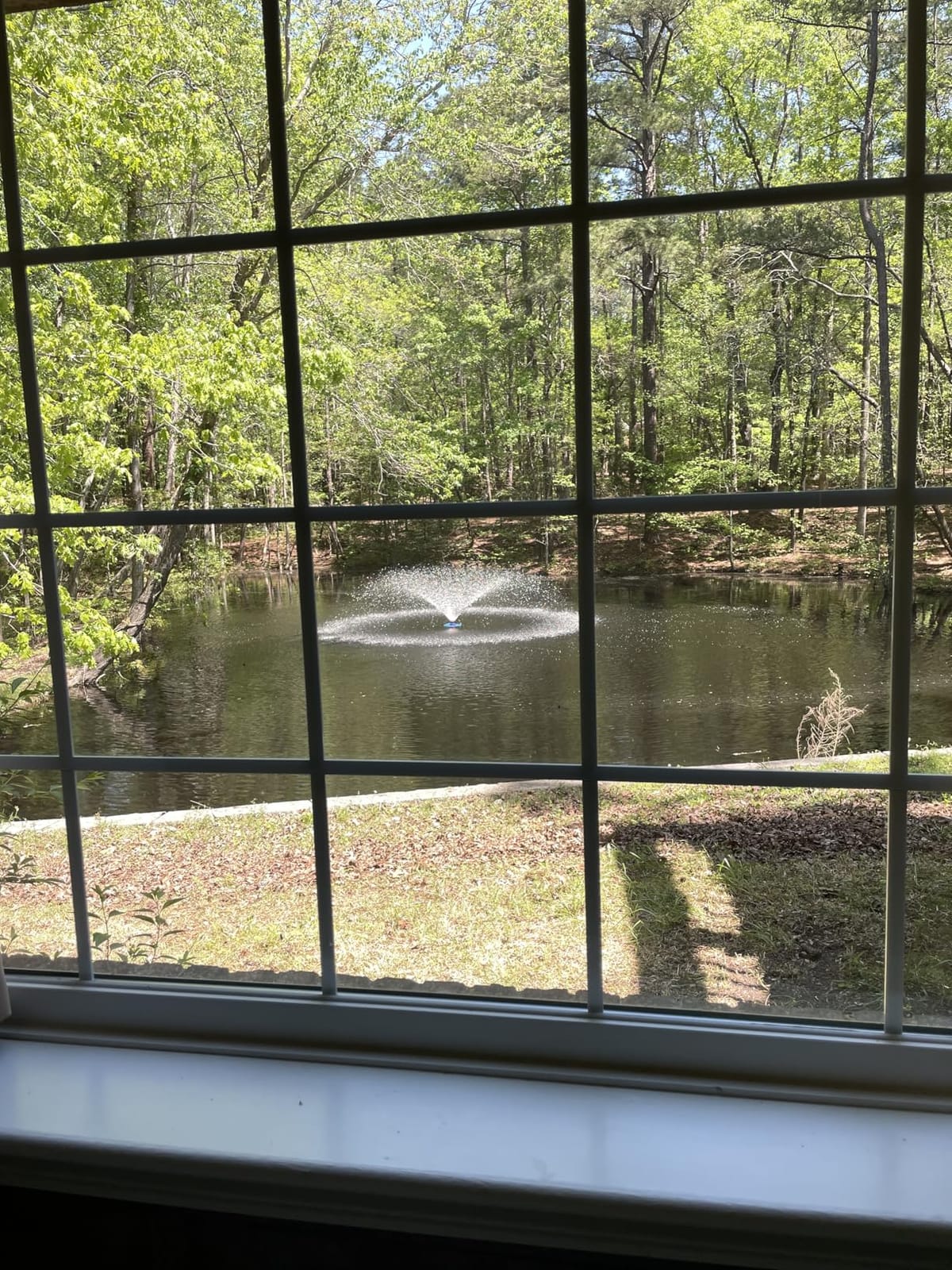 15000 GPH Pond Fountain Aerator,750W Floating Aerator Fountain Pump Cord (Silver) customer photo 2