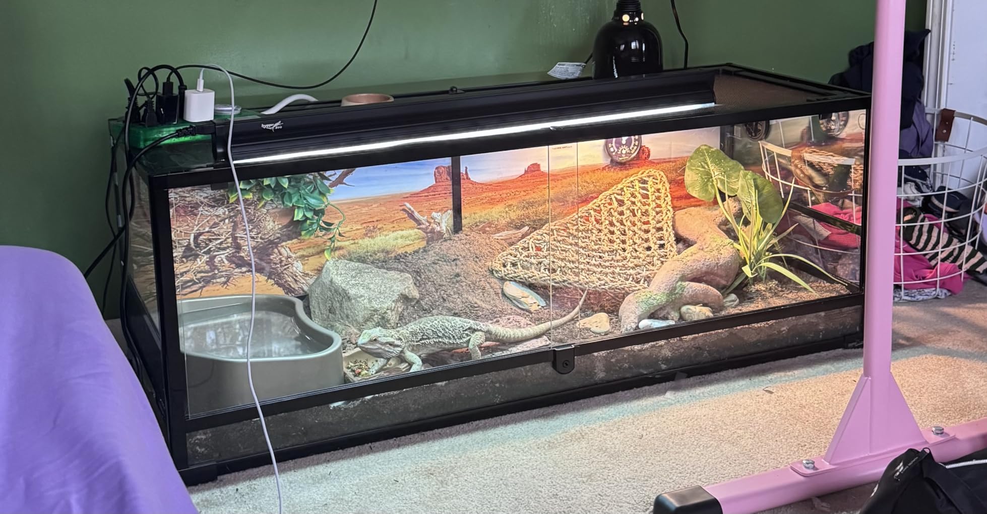 T5 UVB Reptile Light Fixture HO UVB Bulb Lighting Combo Kit, 10.0 UVB Light for Reptiles Terrarium Hood with 24W Reptile Light Bar UVA UVB Desert Lamp for Bearded Dragon Turtle Tank, 22Inch customer photo 1