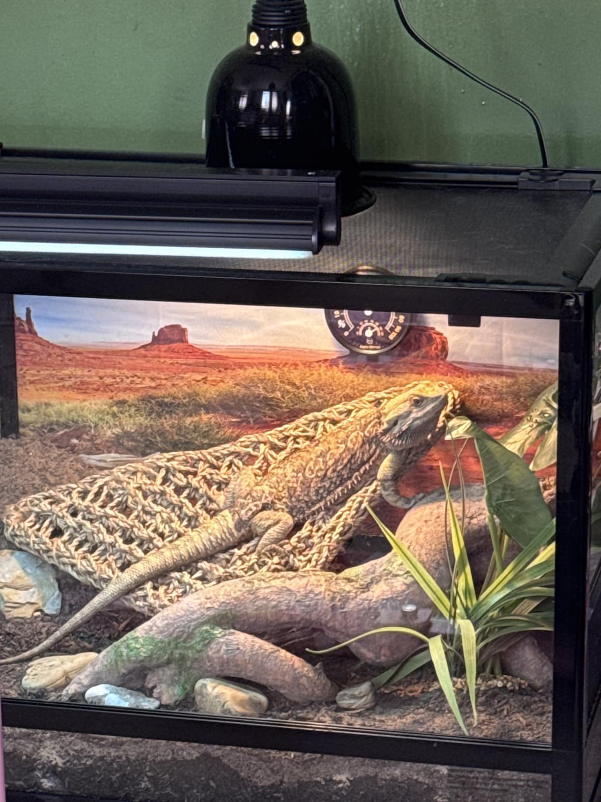 T5 UVB Reptile Light Fixture HO UVB Bulb Lighting Combo Kit, 10.0 UVB Light for Reptiles Terrarium Hood with 24W Reptile Light Bar UVA UVB Desert Lamp for Bearded Dragon Turtle Tank, 22Inch customer photo 2