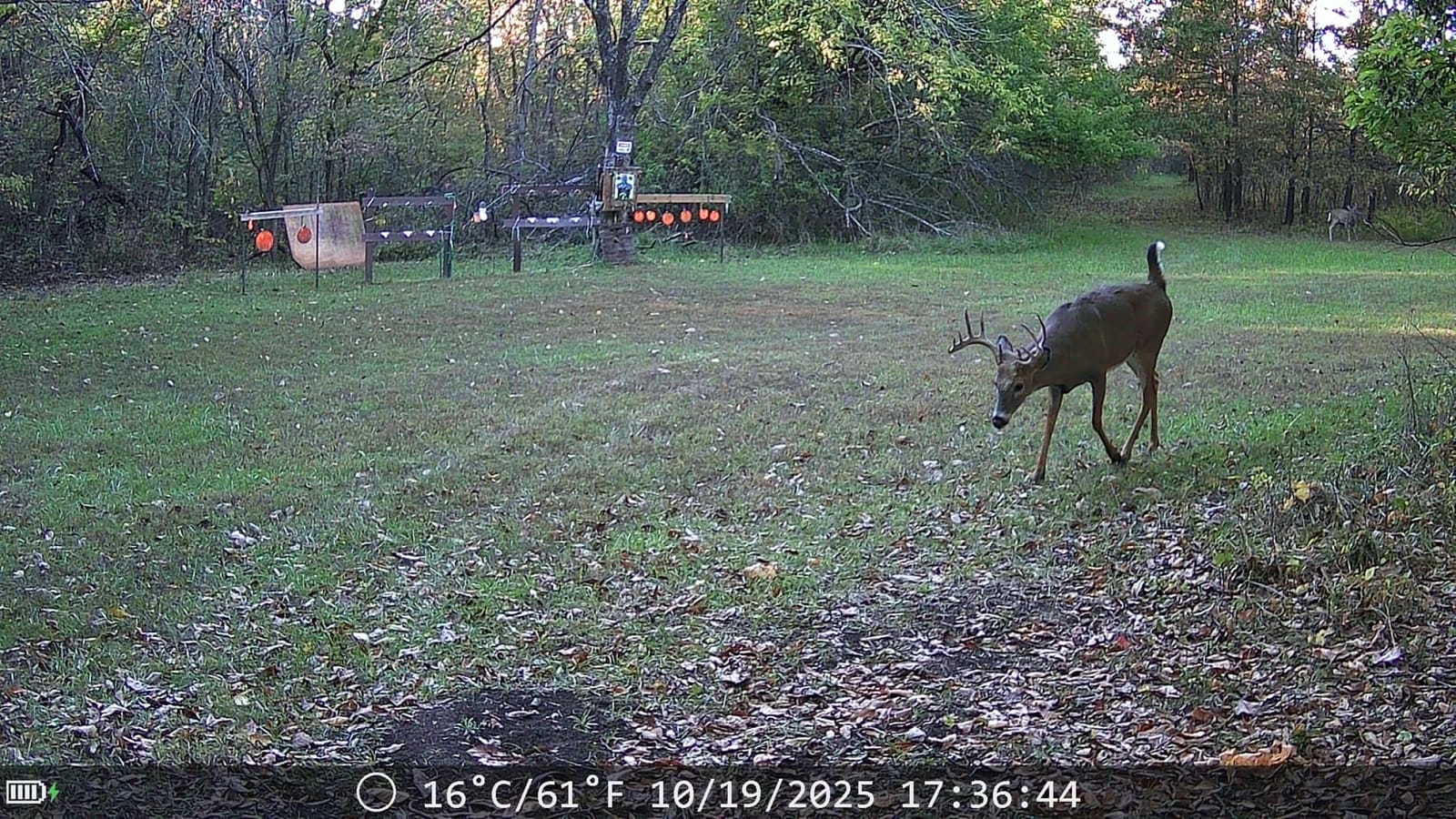 Trail Cameras with Night Vision Motion Activated - WiFi Bluetooth 4K 64MP customer photo 1