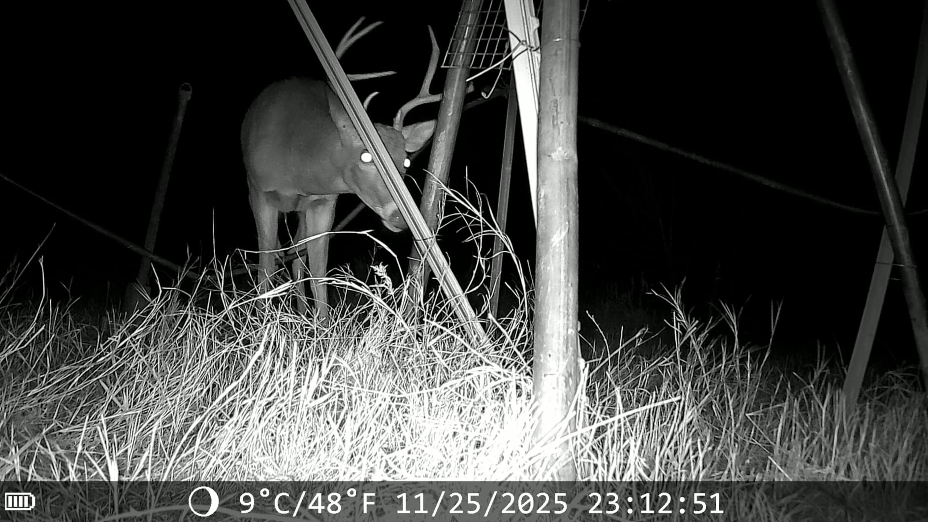 Trail Cameras with Night Vision Motion Activated - WiFi Bluetooth 4K 64MP customer photo 2