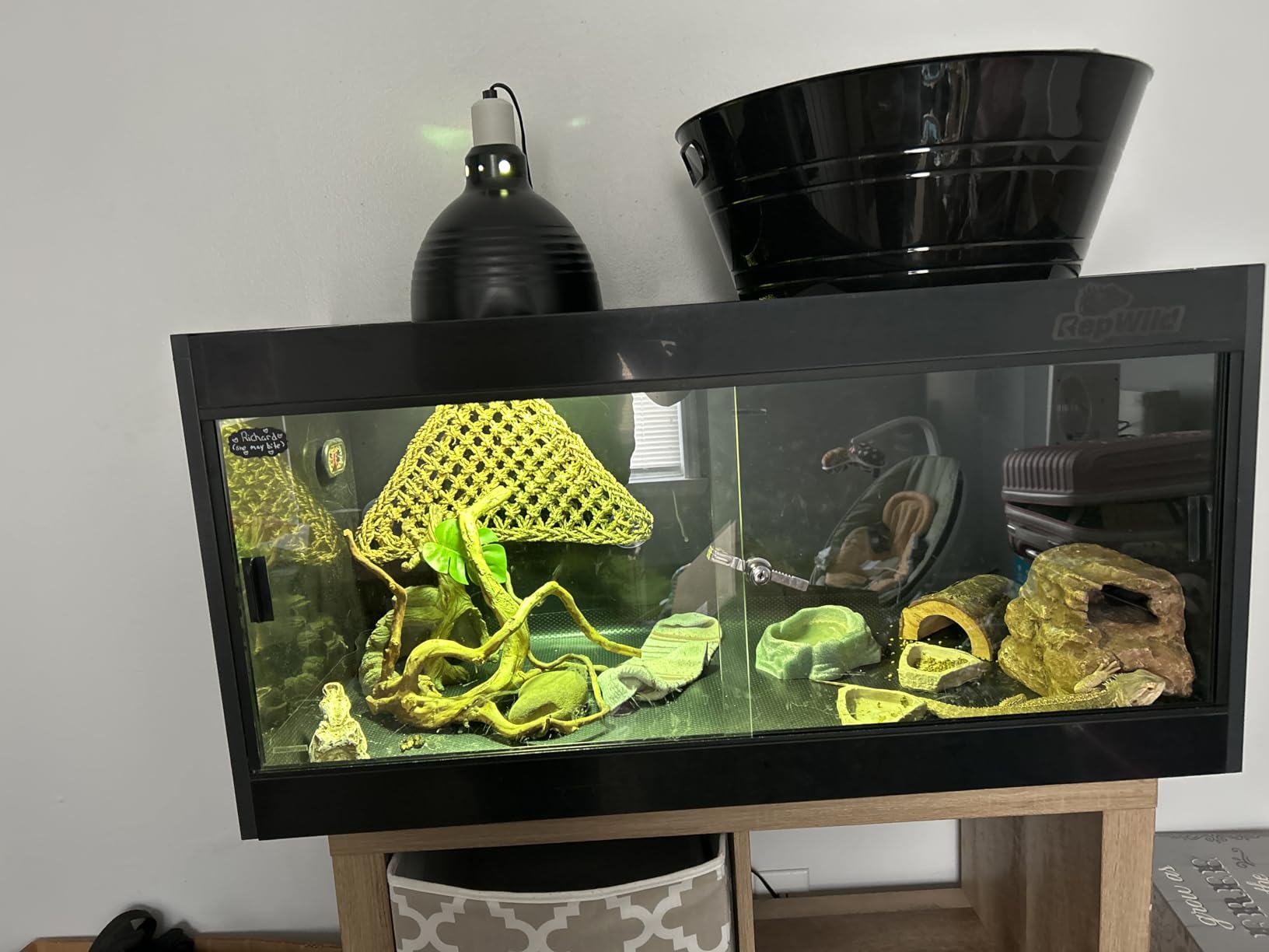 4x2x2 (120 Gallon) PVC Reptile Enclosure, RepWild Terrarium/Tank with Heavy-Duty Screen Top, Glass Sliding Doors & Lock for Bearded Dragons, Ball Python, Geckos, Lizards customer photo 2