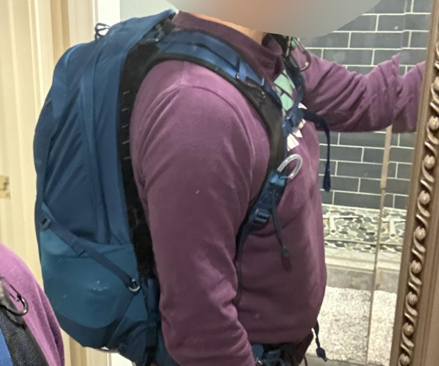 Osprey Talon 22L Men's Lightweight Hiking Backpack, Gray OS customer photo 1