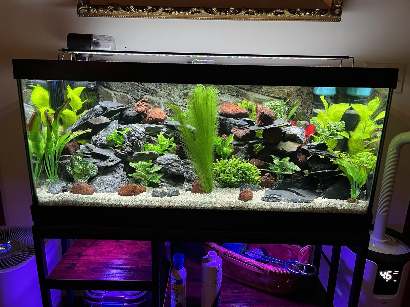 Reinforced 40-50 Gallon Aquarium Stand with Power Outlet, Ultra-Stable 660 LBS Capacity Metal Fish, Tank Stand for Reptile/Aquatic Setups, 5-Tier Adjustable 37