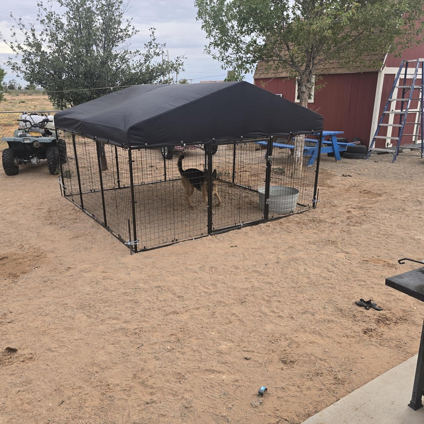 Petony Large Outdoor Dog Enclosure,Heavy Duty Dog Cage with Roof,Galvanized Steel Dog Kennel Fence with Double Safety Locks(79”W x 79”D) customer photo 1
