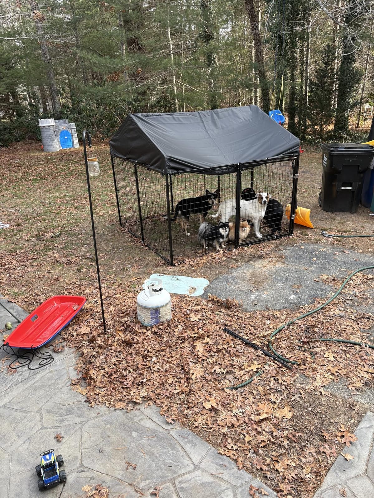 Petony Large Outdoor Dog Enclosure,Heavy Duty Dog Cage with Roof,Galvanized Steel Dog Kennel Fence with Double Safety Locks(79”W x 79”D) customer photo 2