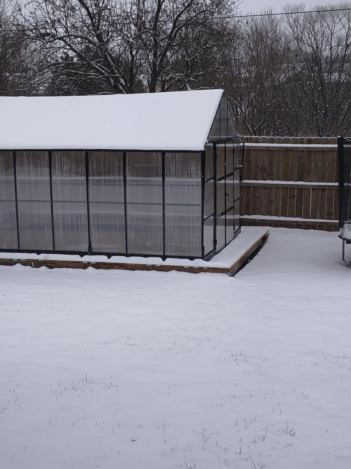 AMERLIFE 10x12 FT Polycarbonate Greenhouse with 4 Roof Vents customer photo 2