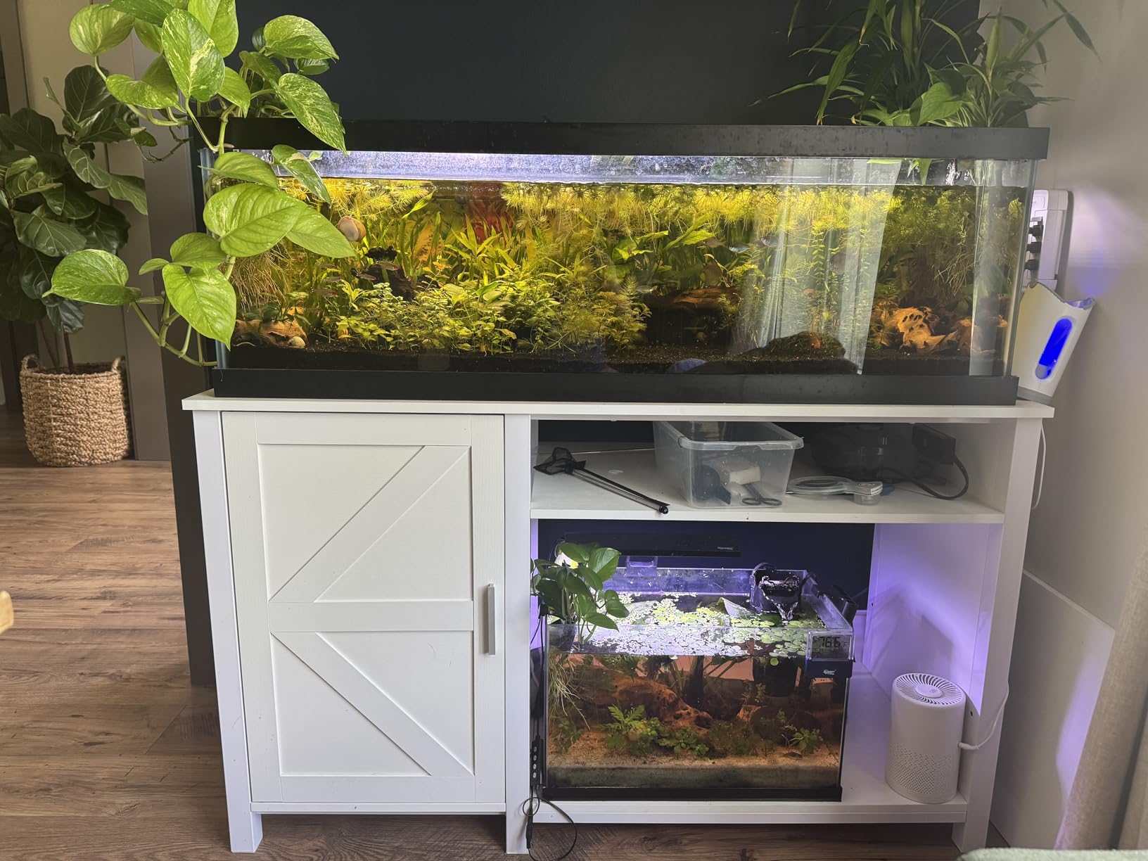 YITAHOME 120 Gallon Reptile Tank Stand with Power Outlets customer photo 1