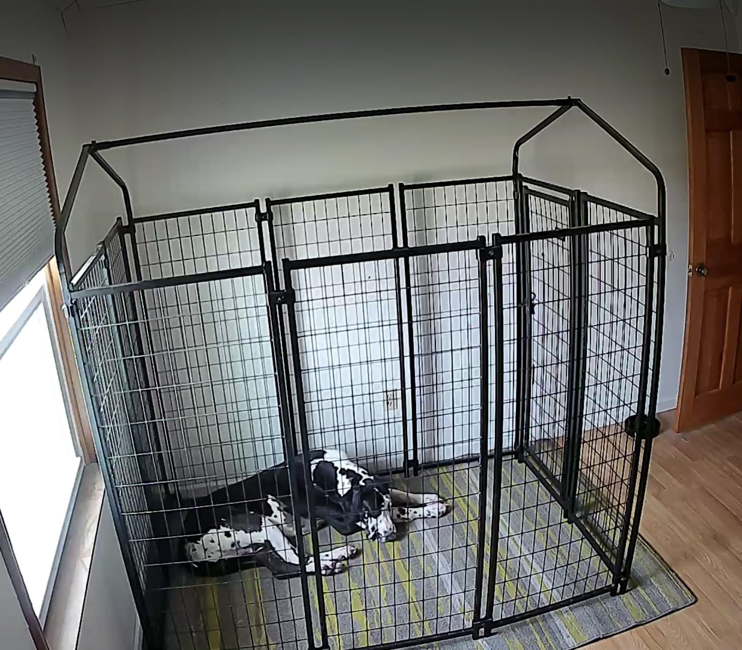 PawHut Outdoor Dog Kennel with Roof, 6' x 6' x 6' Heavy Duty Welded Wire Dog Playpen Enclosure with Escape-Proof Lock, UV-Resistant & Waterproof Cover, for Large Dogs, Chickens, Ducks, Silver customer photo 1