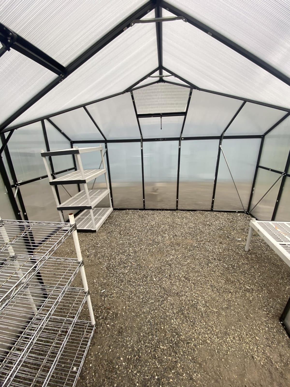 6x8 FT Greenhouse with Hygrometer, Windproof Warm Plant Green Houses customer photo 1