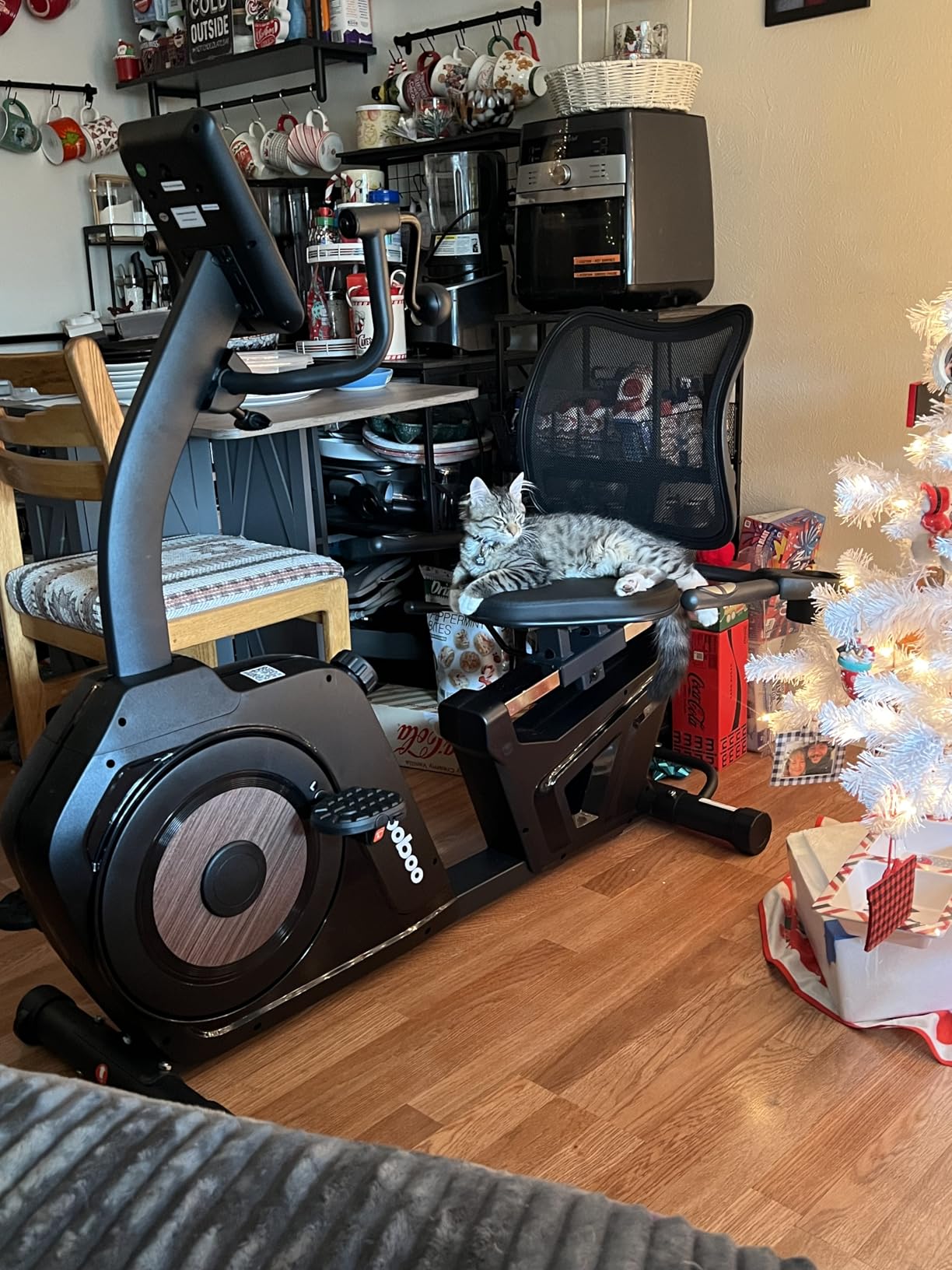 pooboo Recumbent Exercise Bike, Stationary Bikes for Home with Arm Exerciser, Magnetic Recumbent Bike with Ergonomic Backrest & Comfortable Seat, Smart APP, Pulse Sensor, 400LBS Weight Capacity customer photo 1