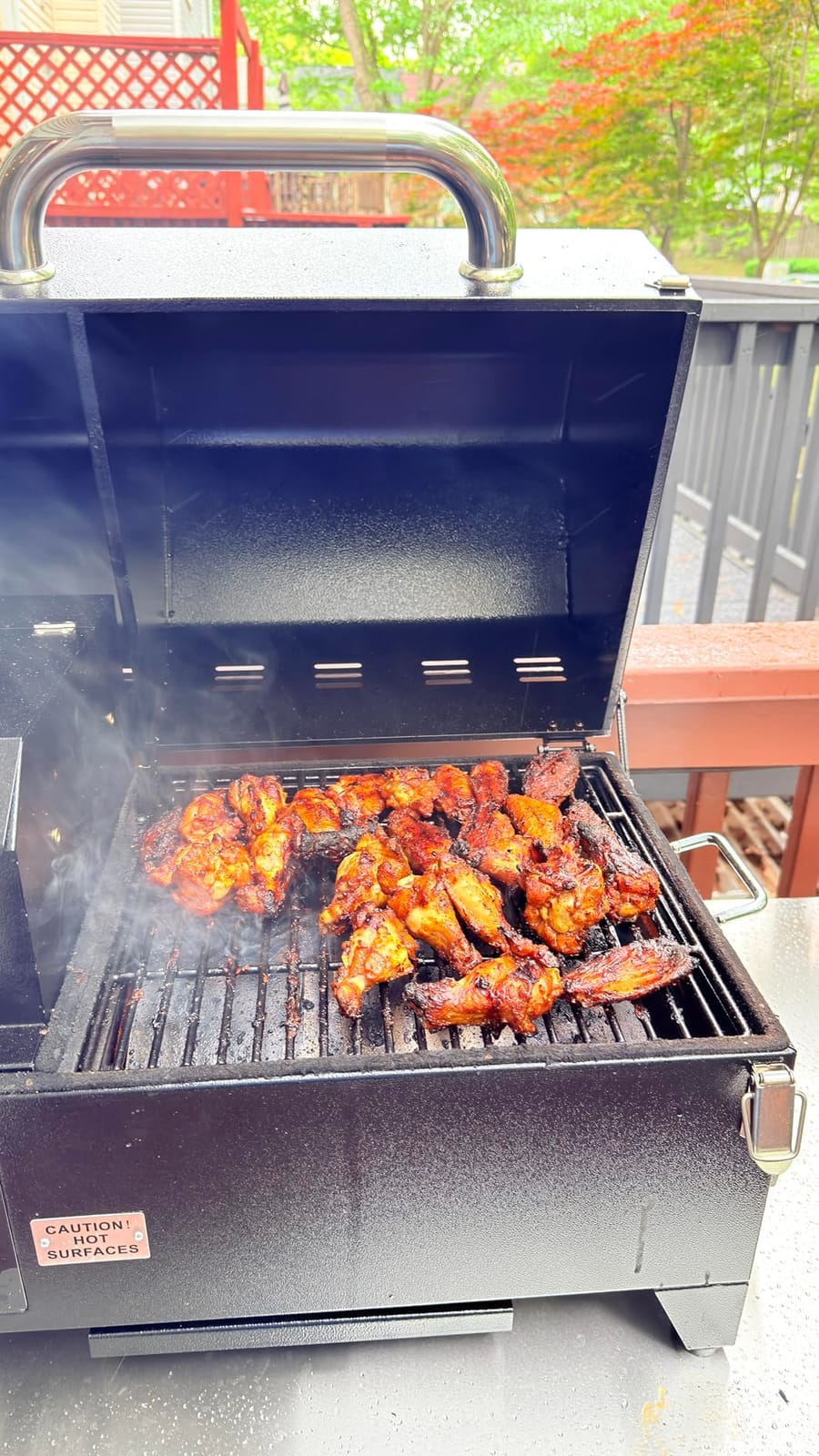 Freedom Portable Pellet Grill & Smoker, 242 Sq In, Dual Probes customer photo 1
