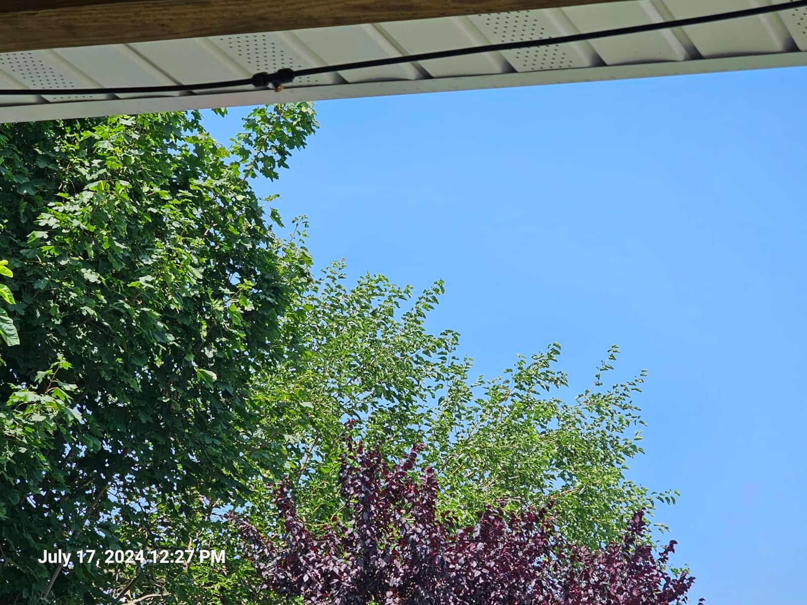 Bonviee 100FT Misters for Outside Patio, 28 Nozzles, 3/4 Inch Brass Adapter customer photo 1