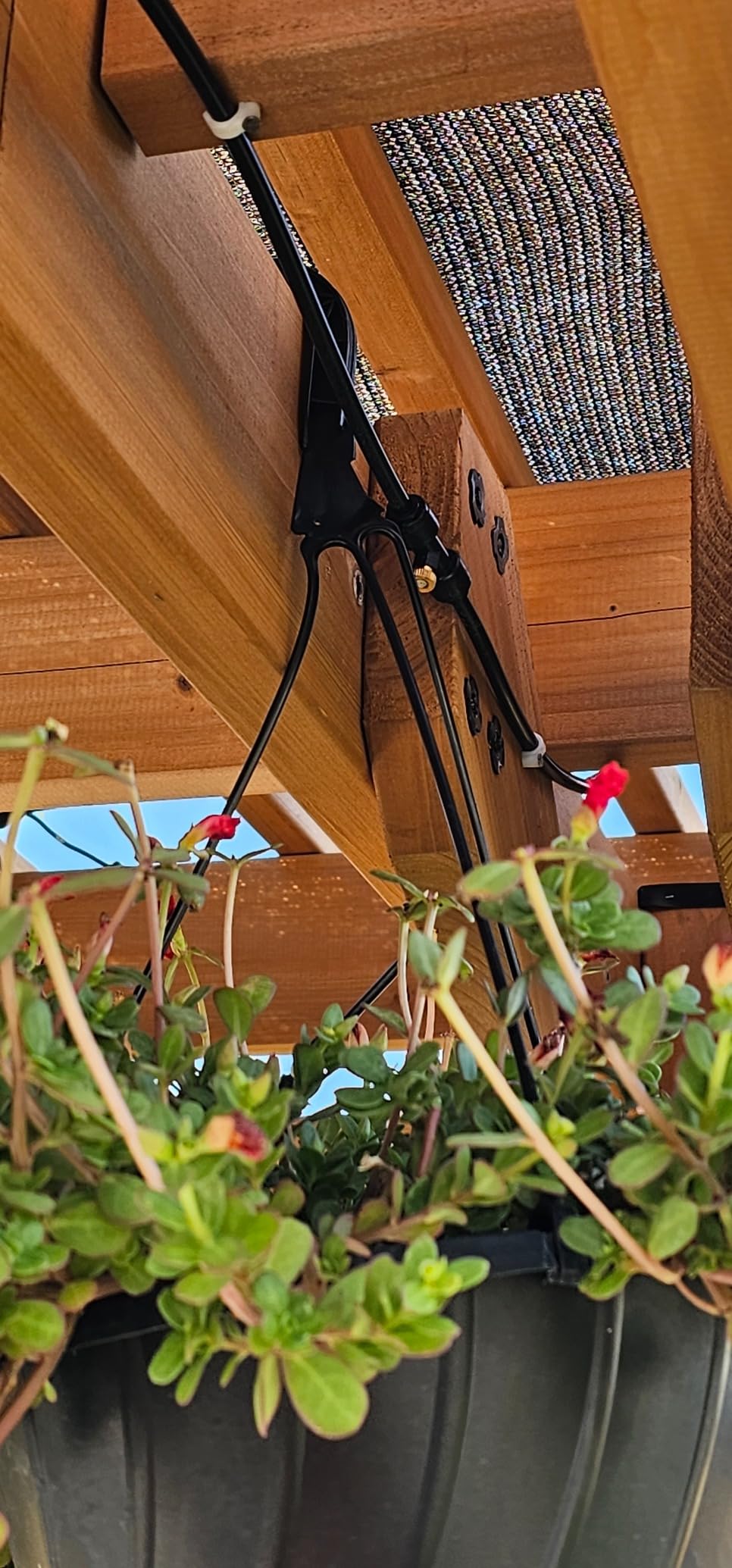 Bonviee 100FT Misters for Outside Patio, 28 Nozzles, 3/4 Inch Brass Adapter customer photo 2