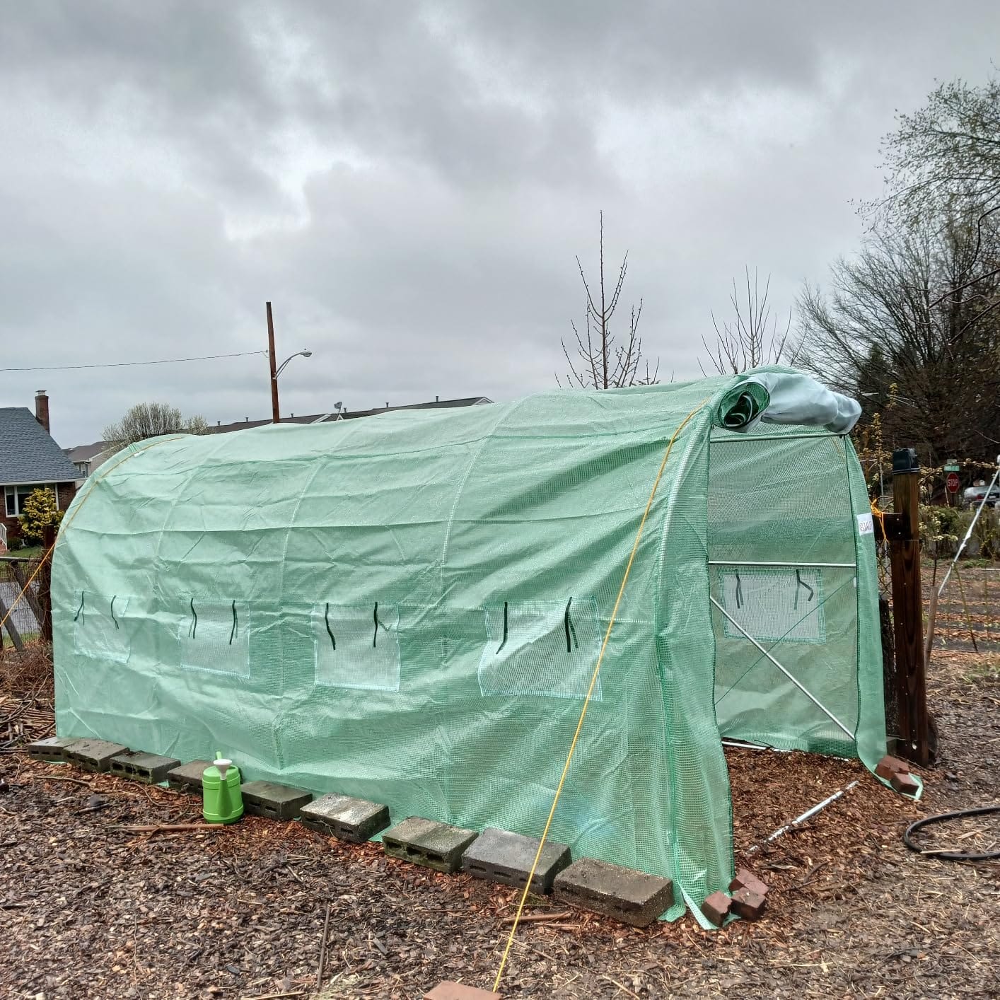 KING BIRD Premium 20x10x6.6FT Greenhouse for Outdoors Large Walk-in House customer photo 2
