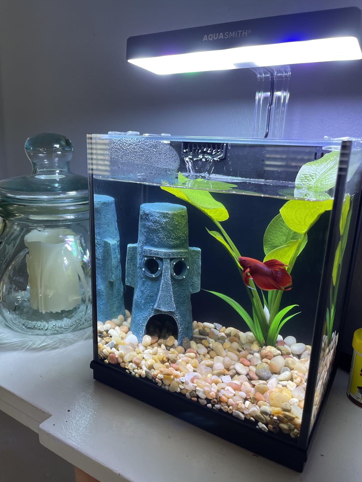 AQUASMITH 2-Gallon All-in-One Fish Tank – Silent Pump, 3-Stage Filtration & Easy Water Change, Perfect Self-Care Betta Aquarium Kit for Kids & Beginners (White customer photo 2