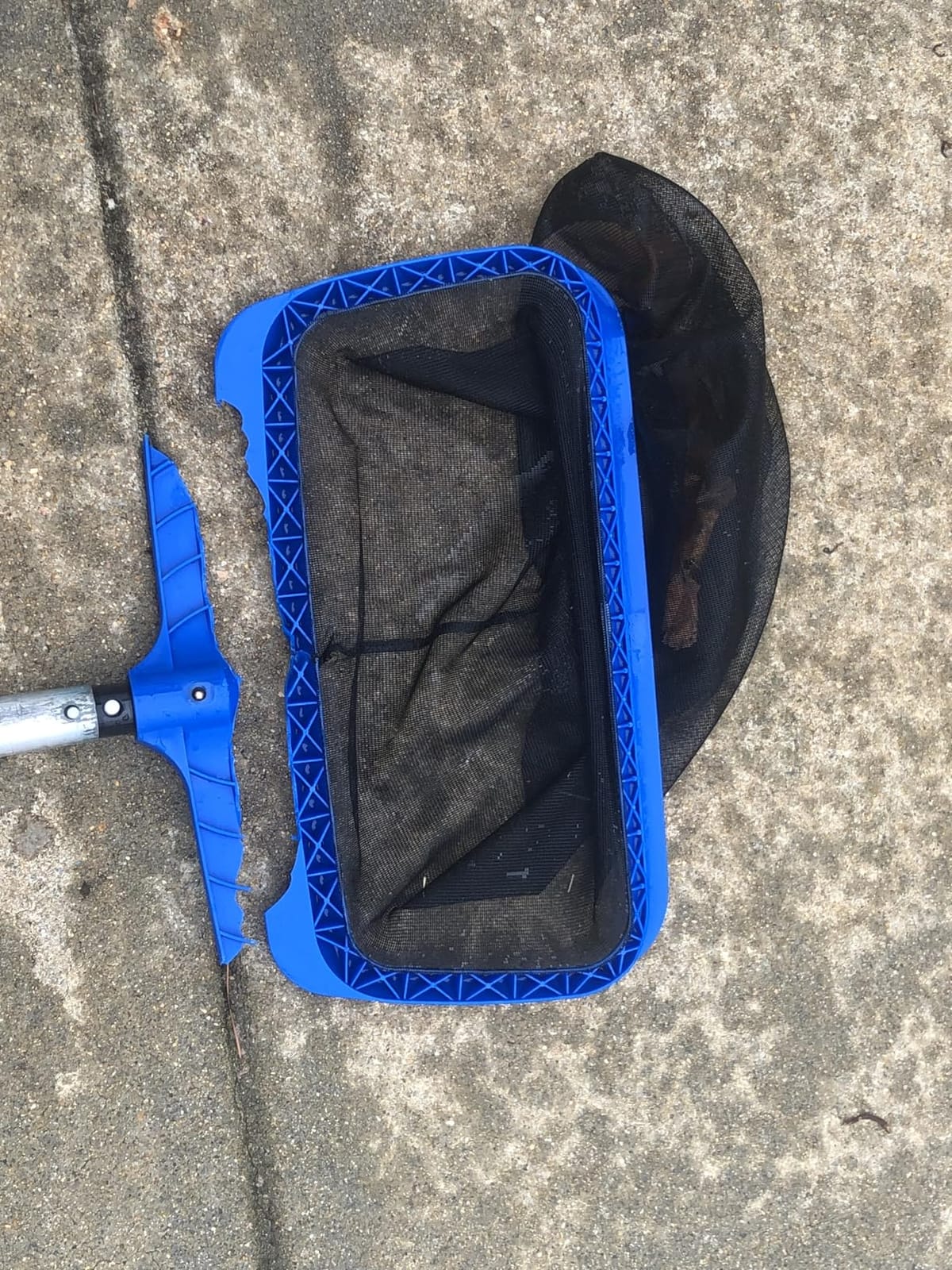 Pool Skimmer Net for Cleaning – Heavy Duty Deep Mesh Pool Net Skimmer - Fine Leaf Rake Net for Swimming Pools, Ponds - Strong Frame - Fits Standard Pool Poles (Net Only, No Pole) - Blue customer photo 1