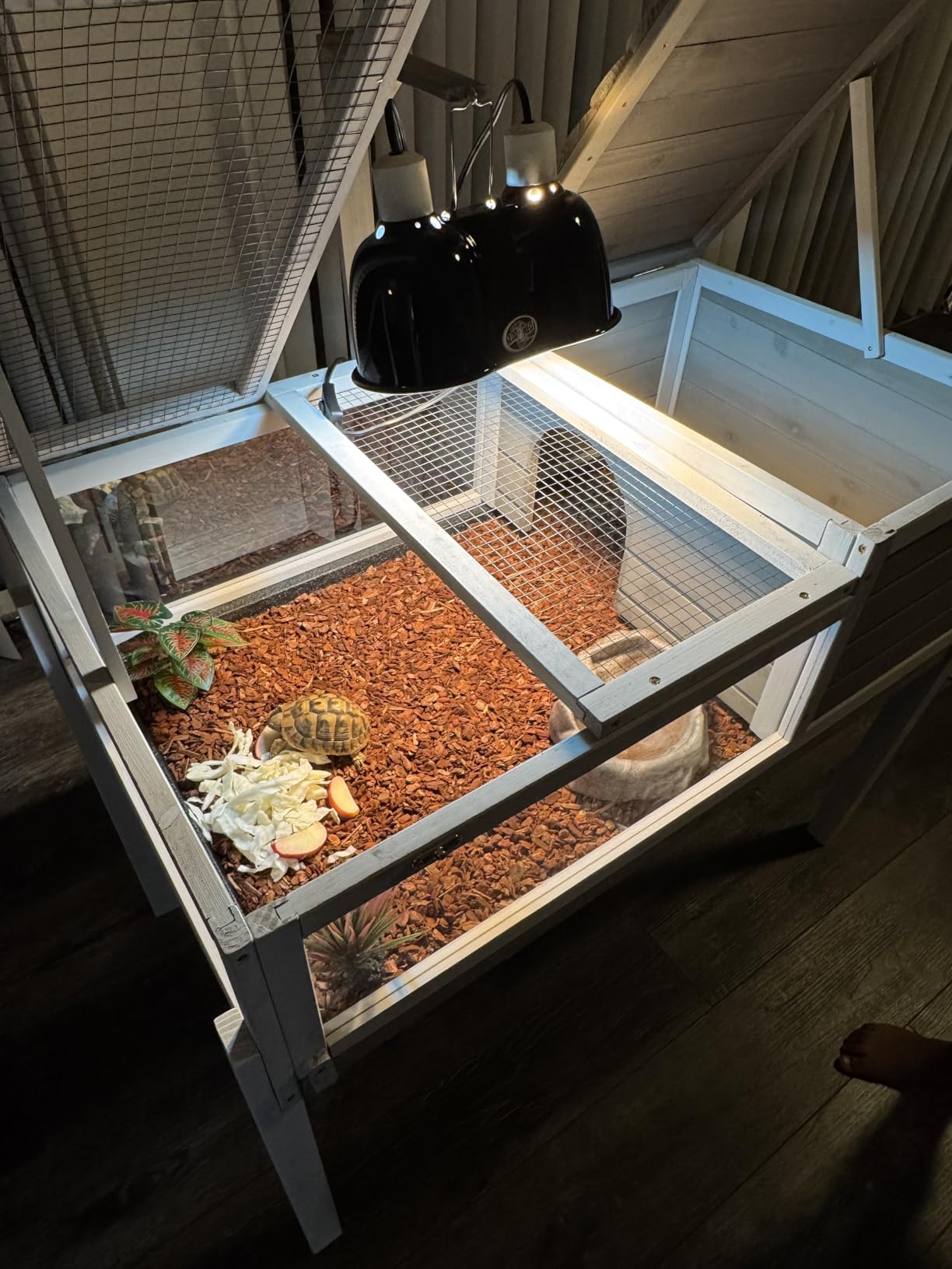 Tortoise Enclosure Indoor Outdoor, Wooden Habitat with Detachable Legs customer photo 1