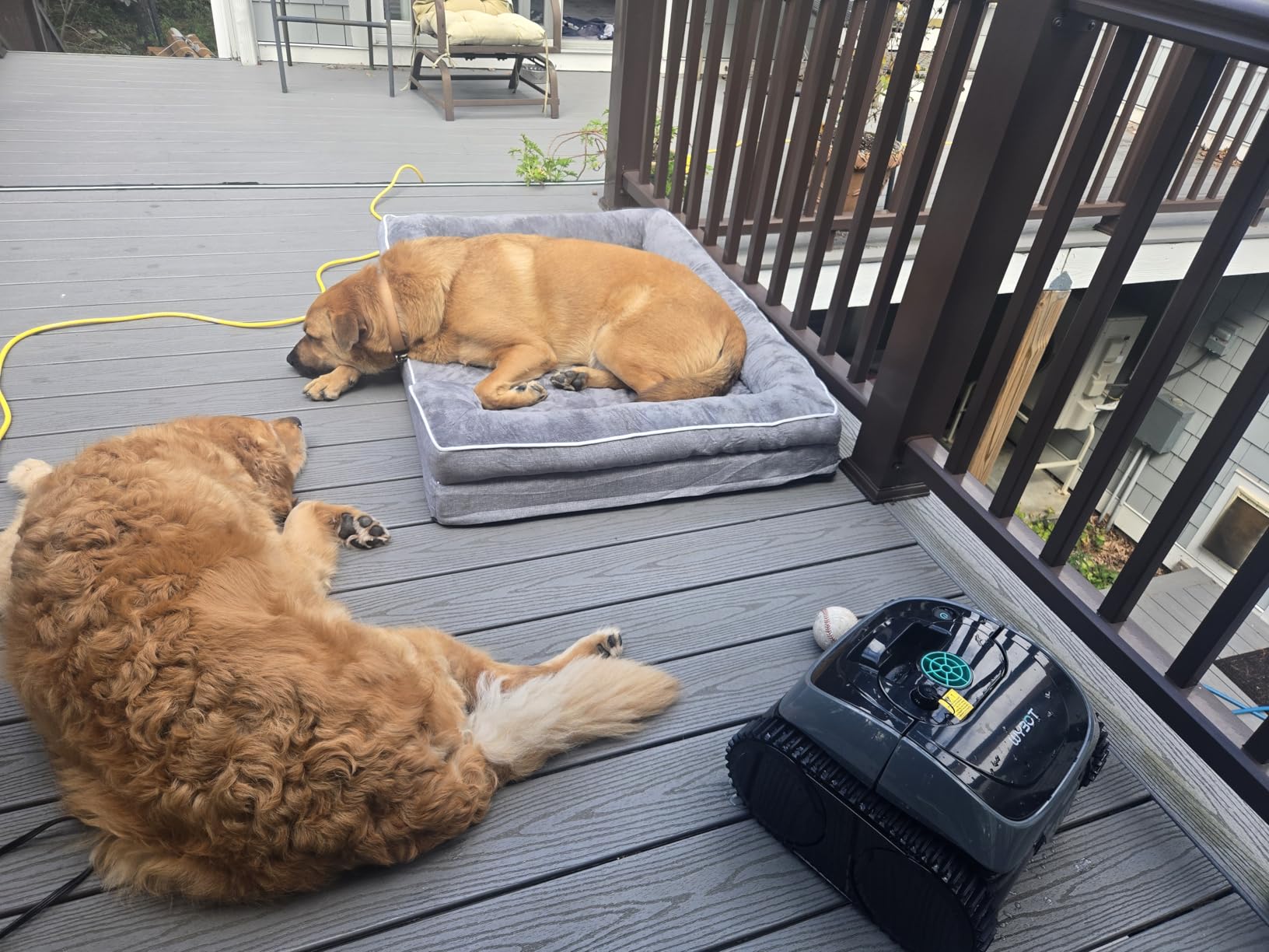 WYBOT C1 Cordless Robotic Pool Vacuum for Inground Pools customer photo 1