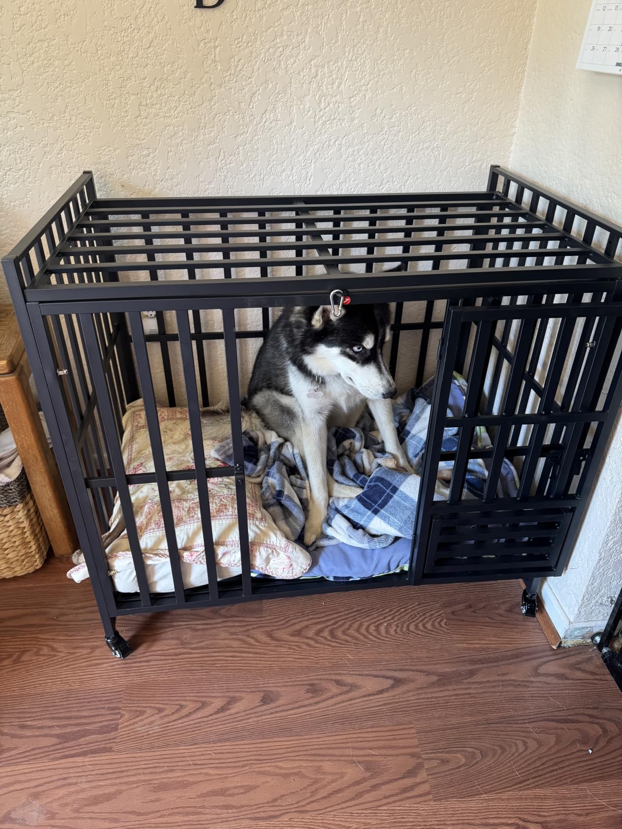 Heavy Duty Dog Crate, 49'' Large Indestructible Cage for High-Anxiety Dogs customer photo 1