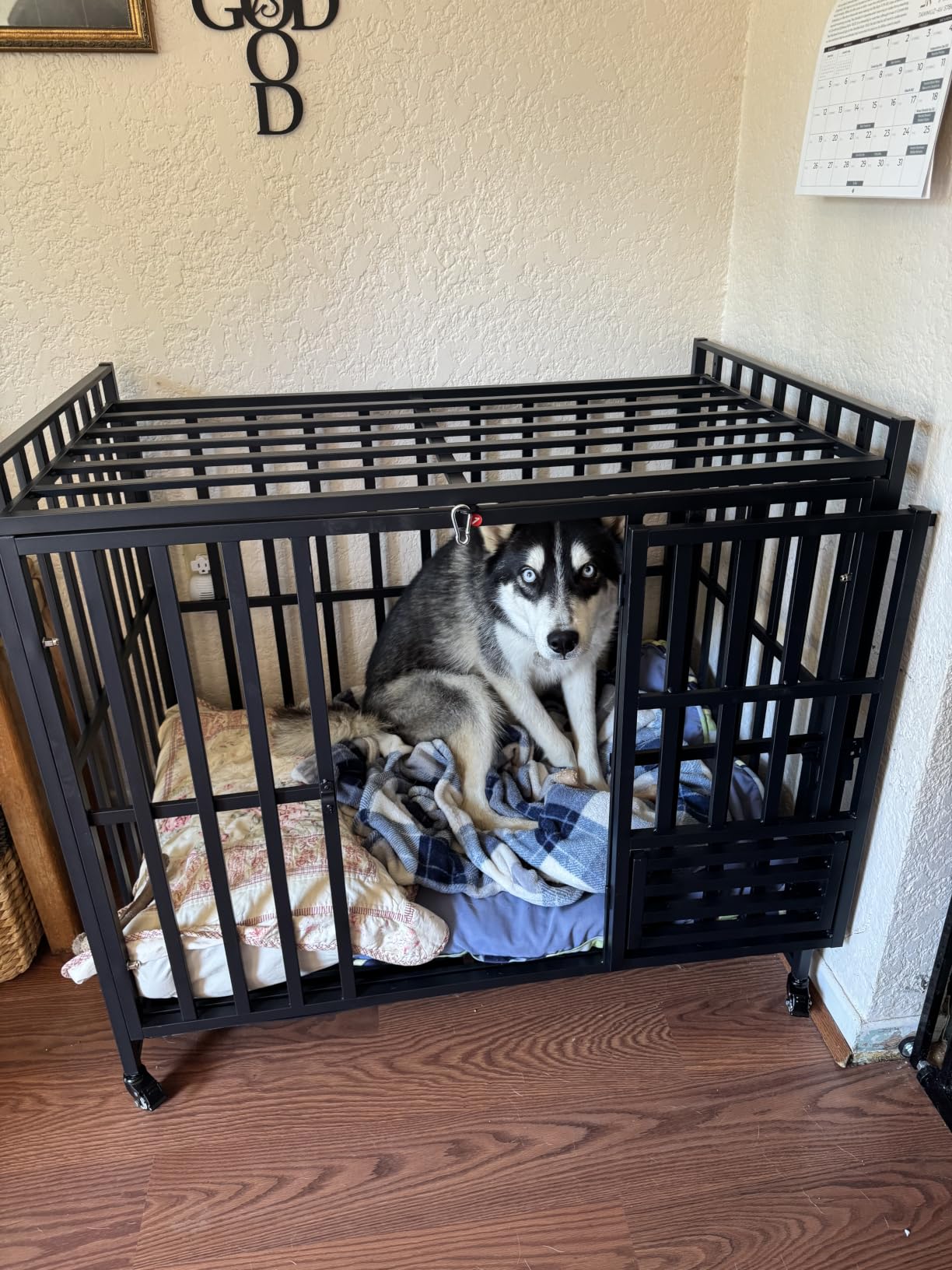 Heavy Duty Dog Crate, 43'' Large Indestructible Cage for High-Anxiety Dogs customer photo 2