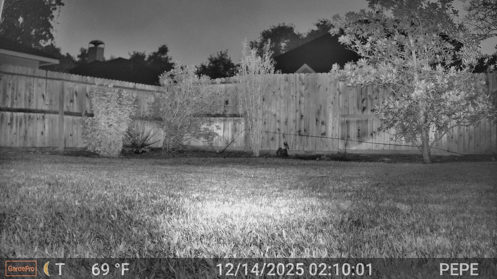 GardePro E8 2.0 Pro WiFi Bluetooth Trail Camera, Dual Antennas, 4K Video customer photo 2
