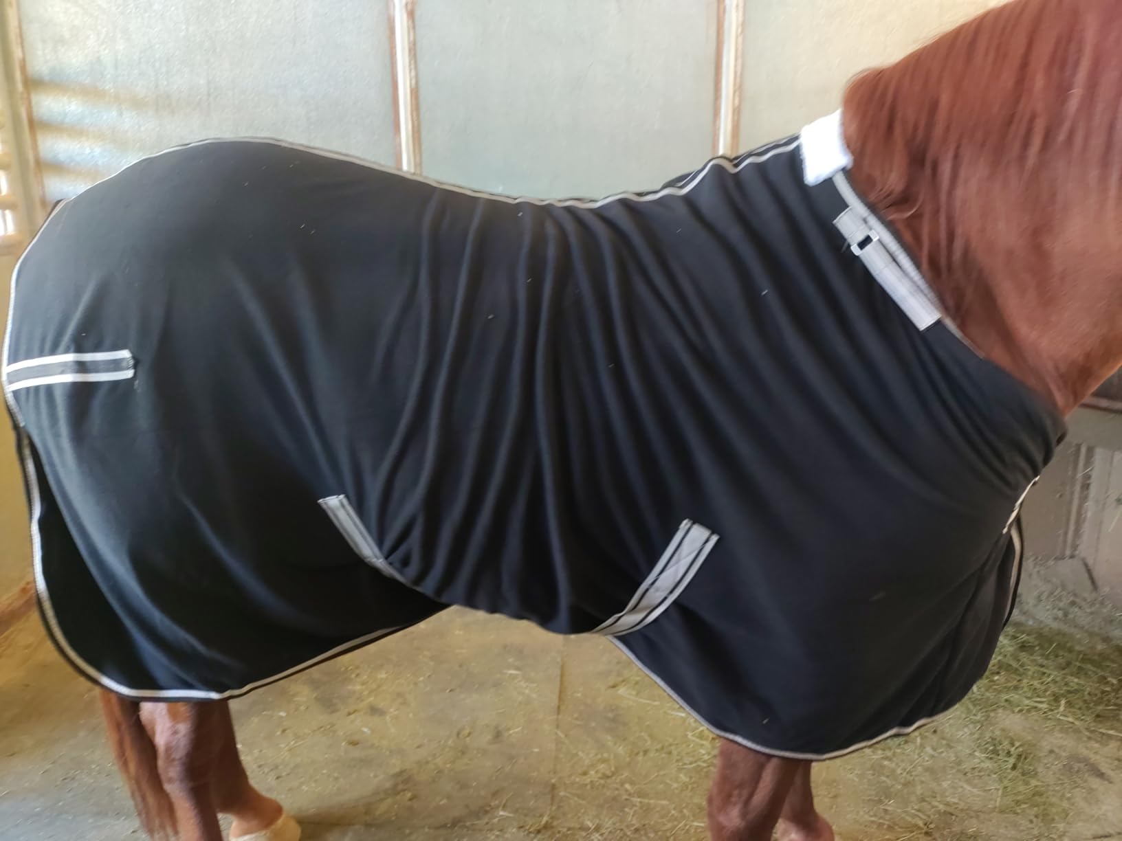 Horse Fleece Cooler Blanket, Moisture Wicking Post-Workout Drying customer photo 1