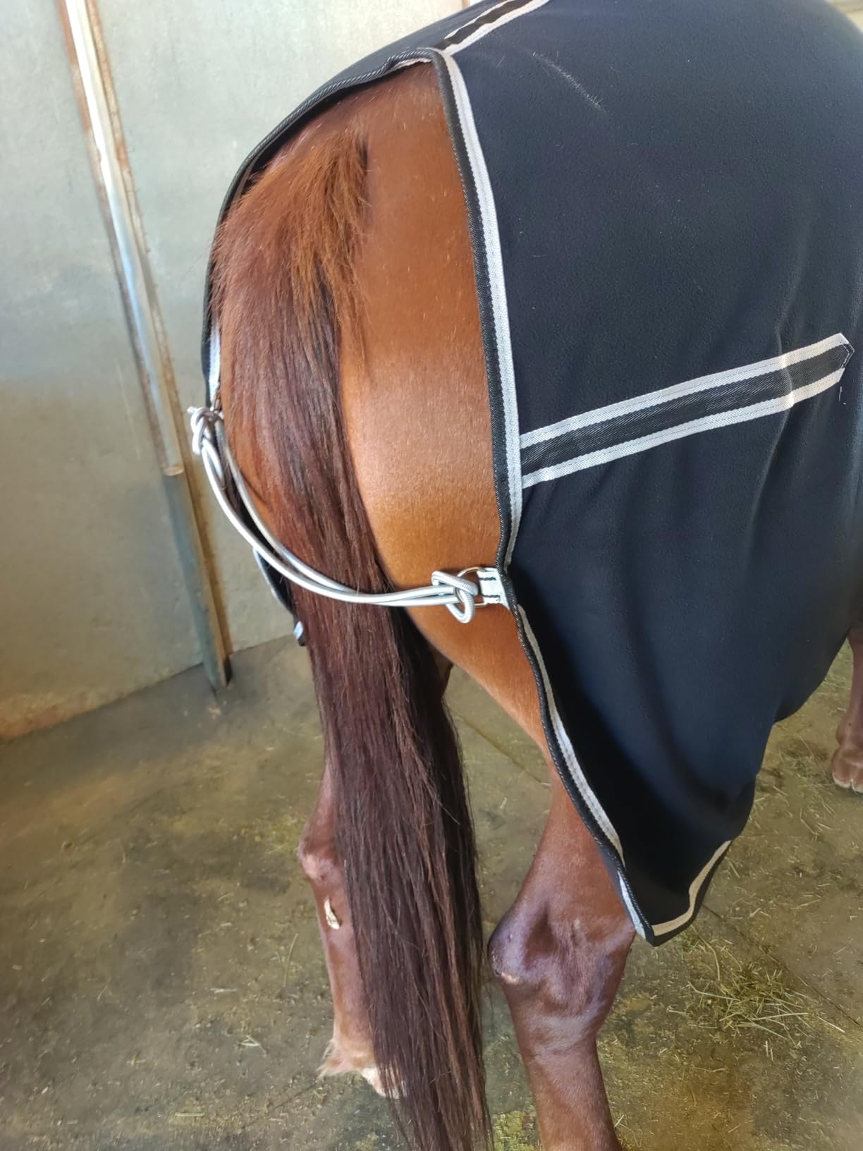 Horse Fleece Cooler Blanket, Moisture Wicking Post-Workout Drying customer photo 2