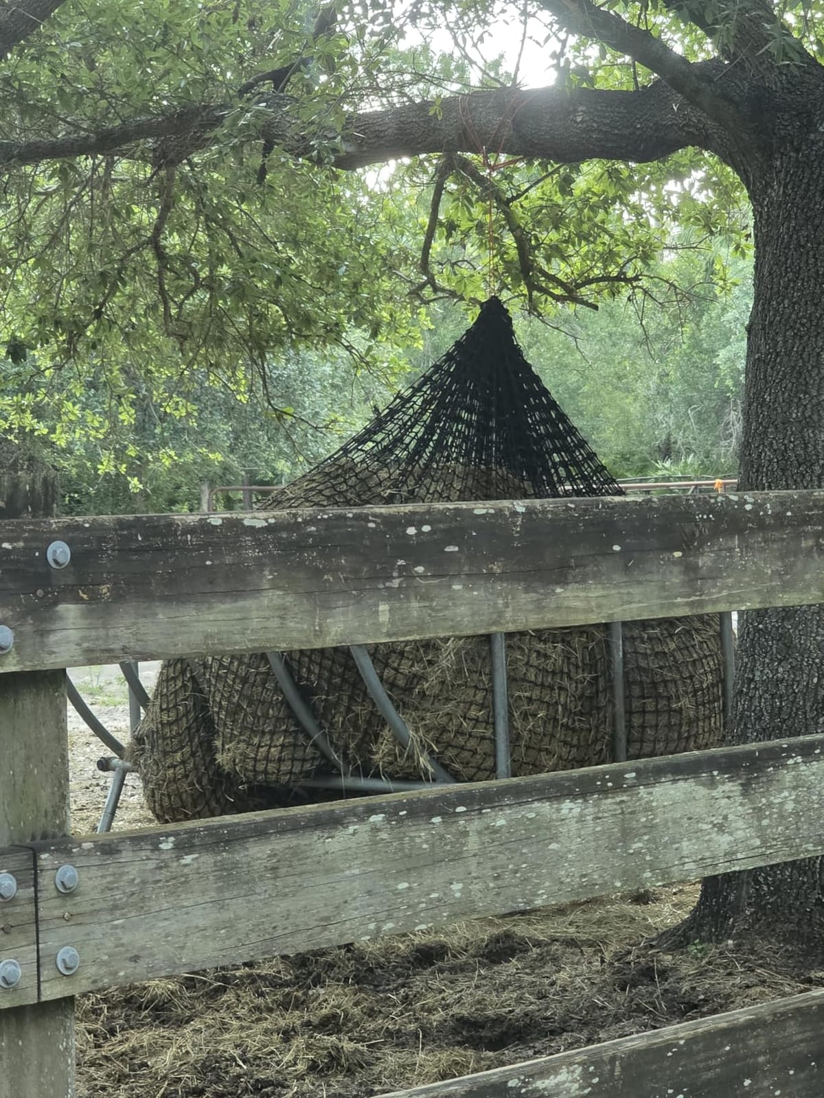 5 * 5ft Round Bale Hay Net 1.75