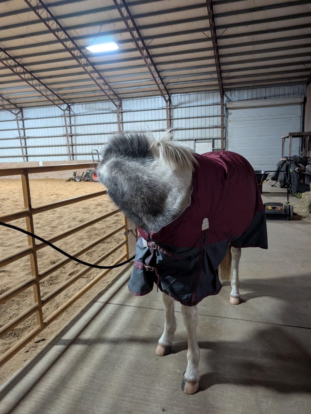 BARN & STABLE 600Denier 3000mm/3000mvp Super Waterproof & Breathable Horse Blankets for Winter with 200g Fill customer photo 2