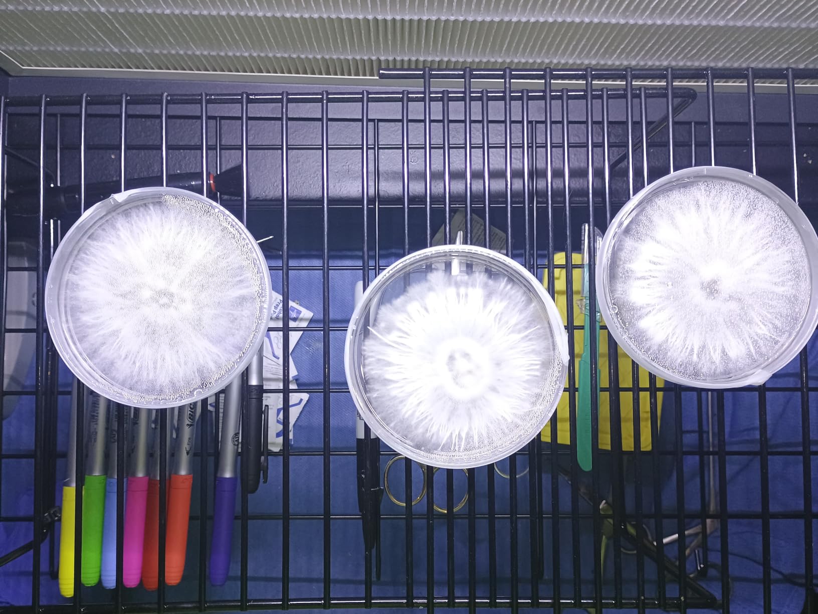 Laminar Flow Hood with H13 HEPA Filter (20