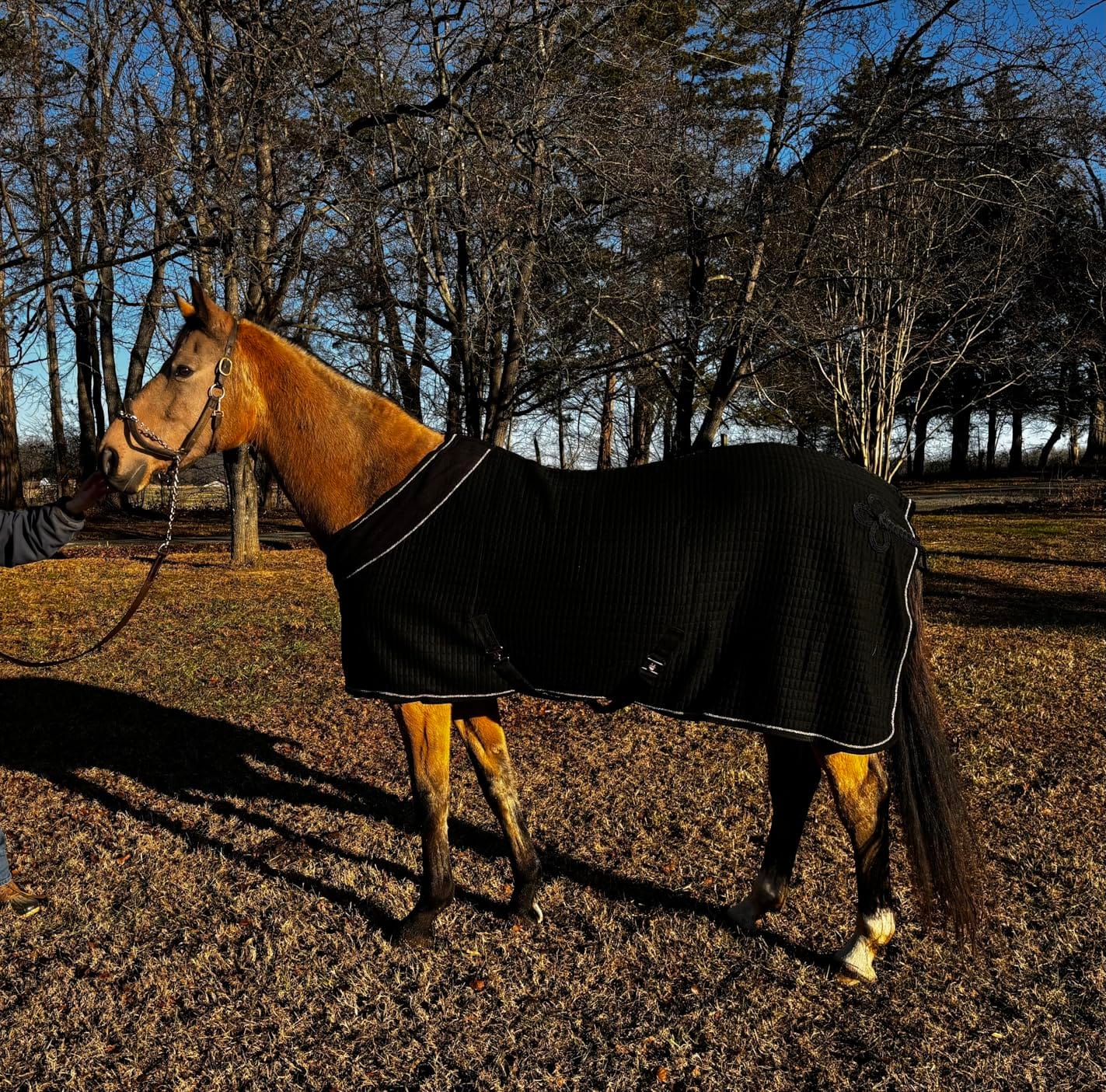 Equinavia Vinter Thermal Stable Blanket - Black - 82 in customer photo 1