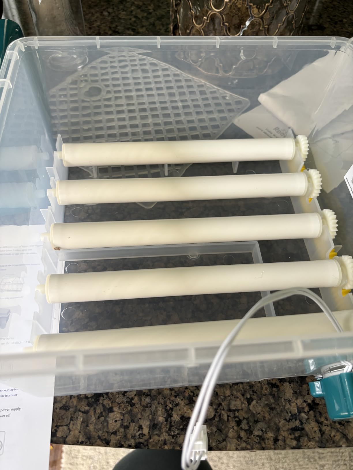 CoInceptus 16 Eggs Incubators for Hatching Eggs, Egg Incubator with Automatic Egg Turning and Temperature Control, Chicken Egg Incubators with Egg Candler for Duck Goose Pigeon Quail customer photo 2