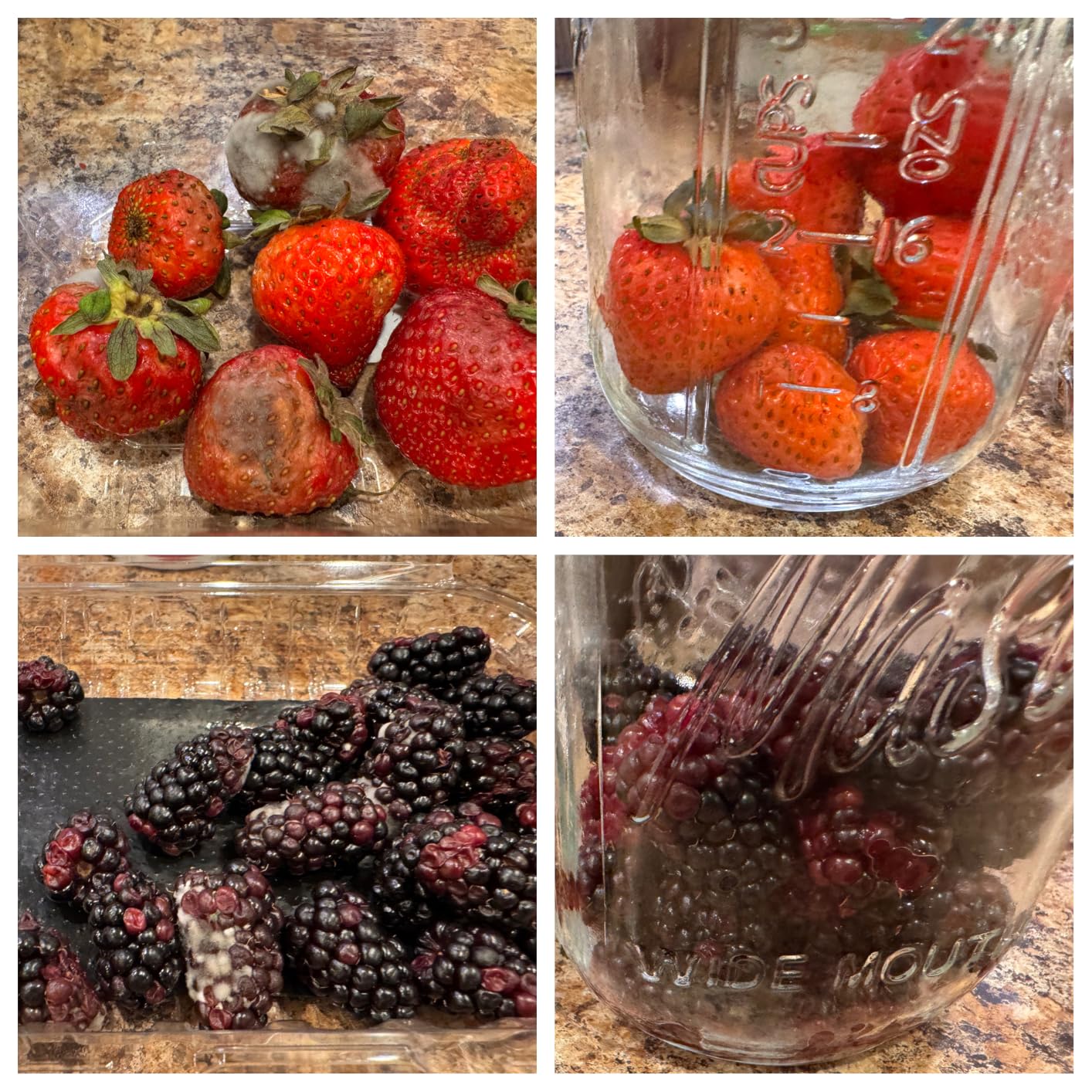 Electric Mason Jar Vacuum Sealer Kits with Wide & Regular Mouth Mason Lids customer photo 2