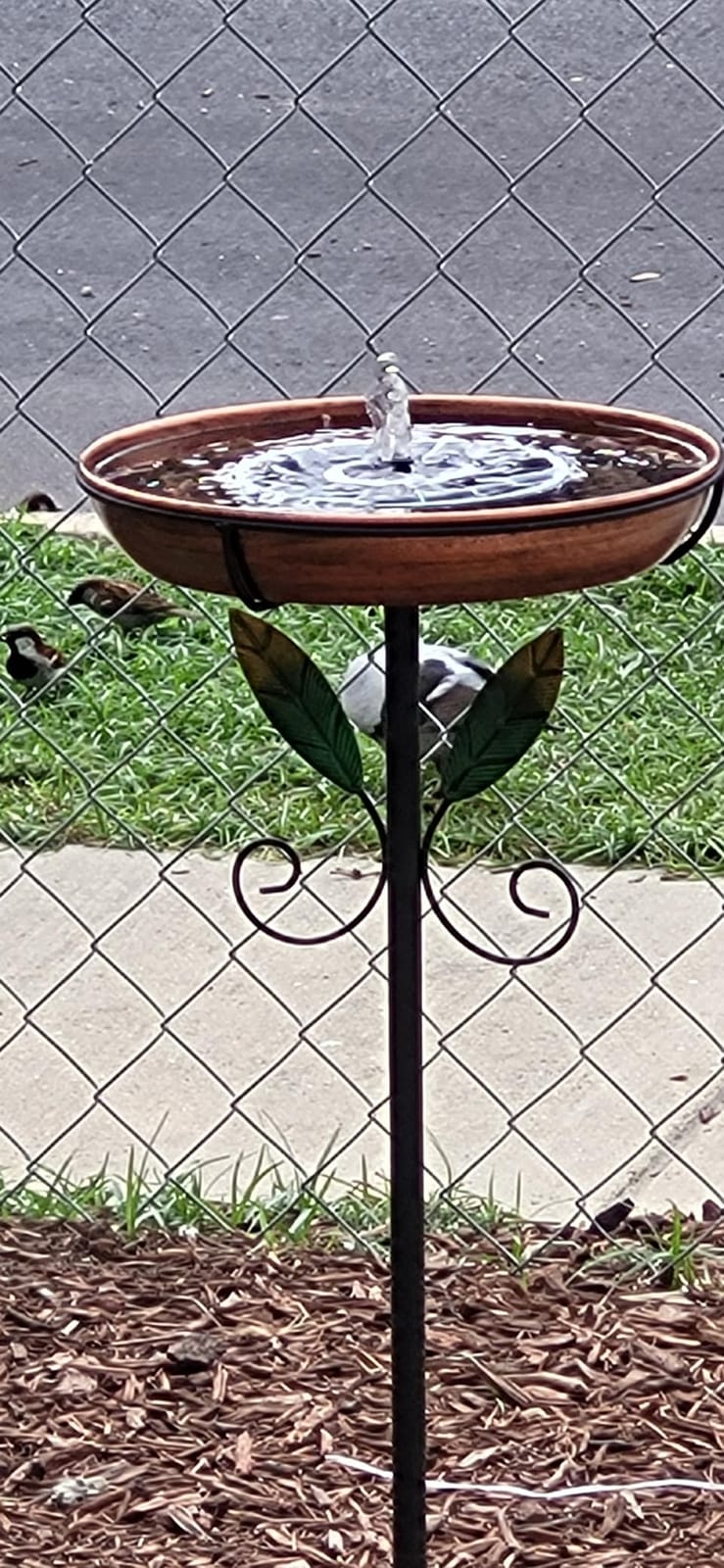 Yzert Solar Fountain, 3-Level Adjustable Water Height, 3.5W Glass Powerful Outdoor Fountain Pump with Rotating Rods & 7 Nozzles for Bird Bath, Garden, Pond, Patio, Flower Pot (2026 Model) customer photo 1