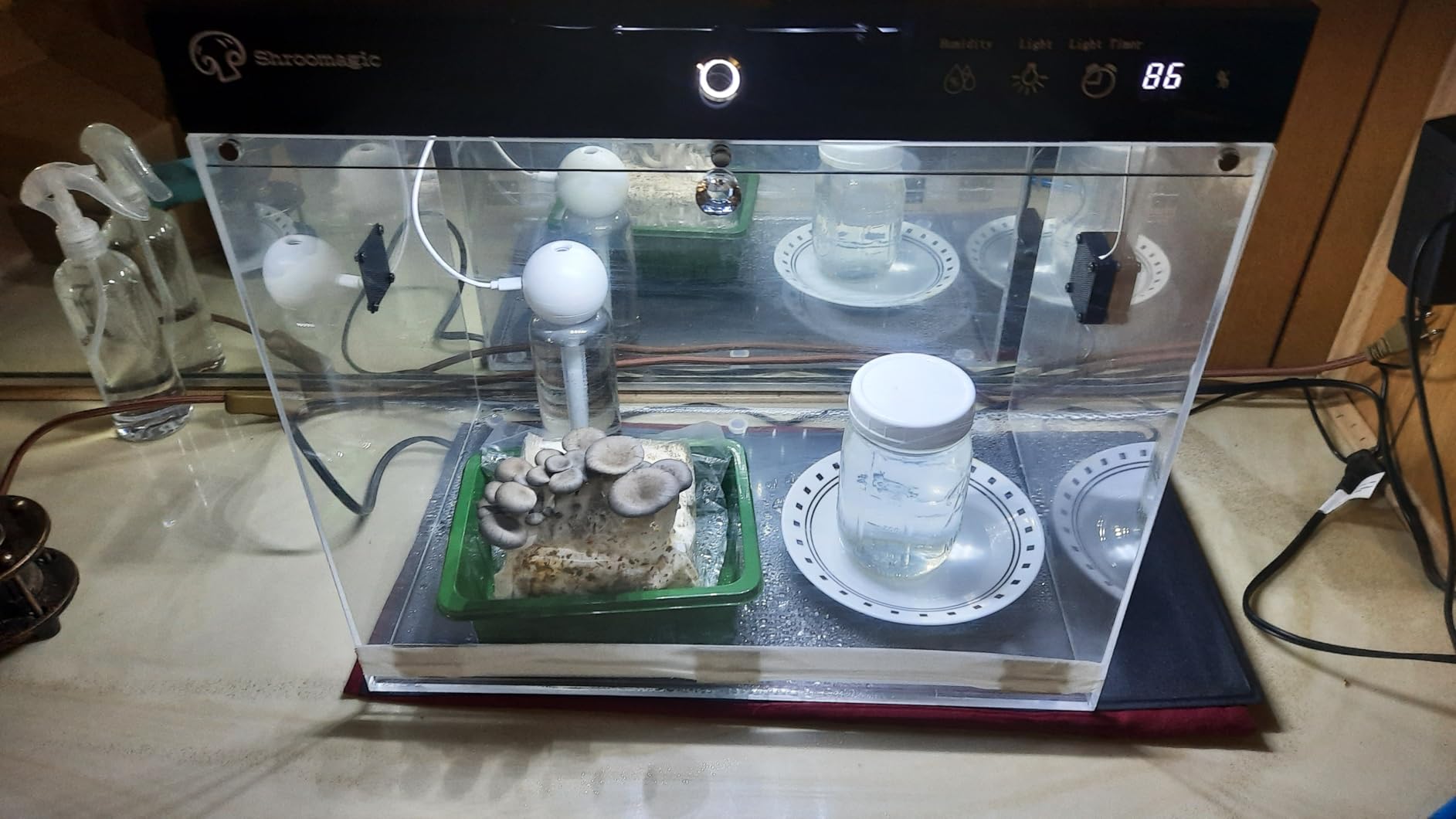 Smart Mushroom Growing Kit for Indoor Use, Automatic Humidity&Light Control, Mushroom Grow Box with Fresh Air Exchange System, Grow Gourmet&Functional Mushrooms at Home, Monotub Compatible,16x11x15 In customer photo 2