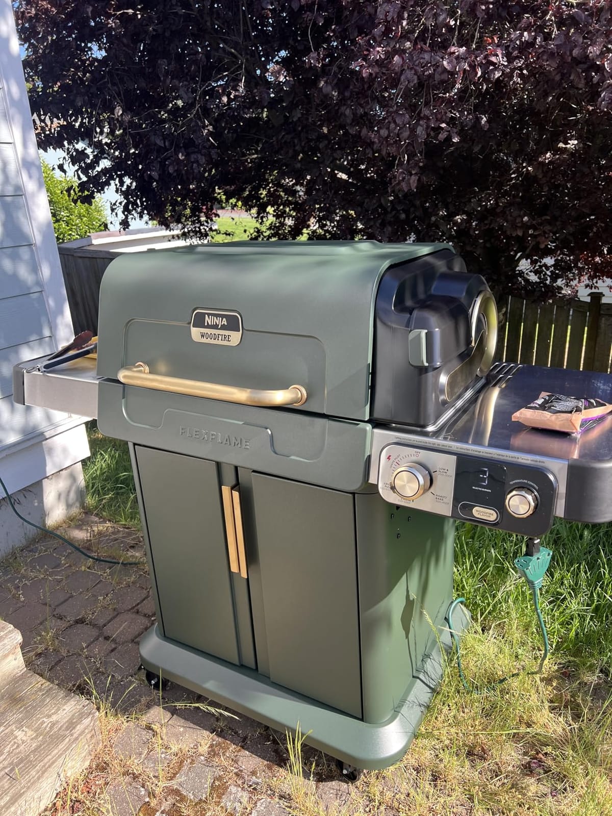 Ninja FlexFlame Grill & Smoker, Electric & Propane, 5-in-1, Green, PG301GN customer photo 1
