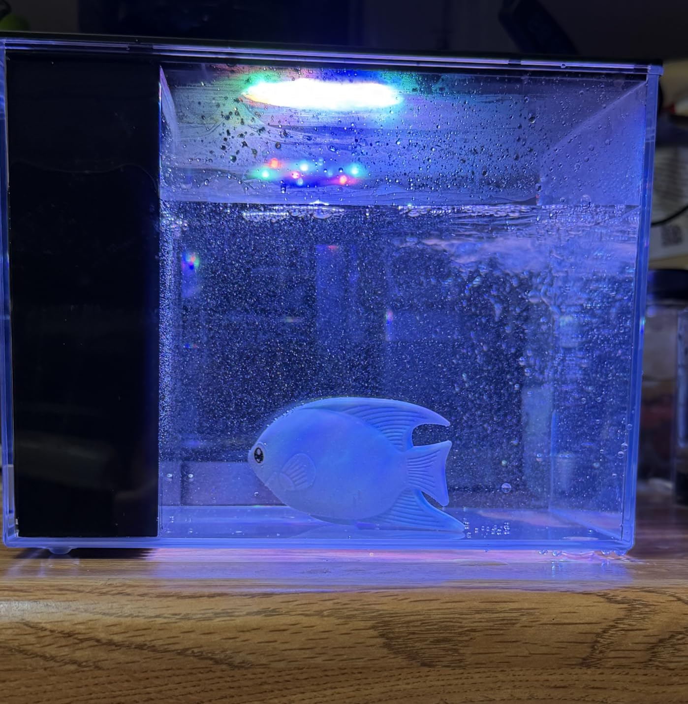 Vehipa Betta Fish Tank 1 Gal (3.7L), Acrylic Nano Aquarium Kit Black customer photo 1