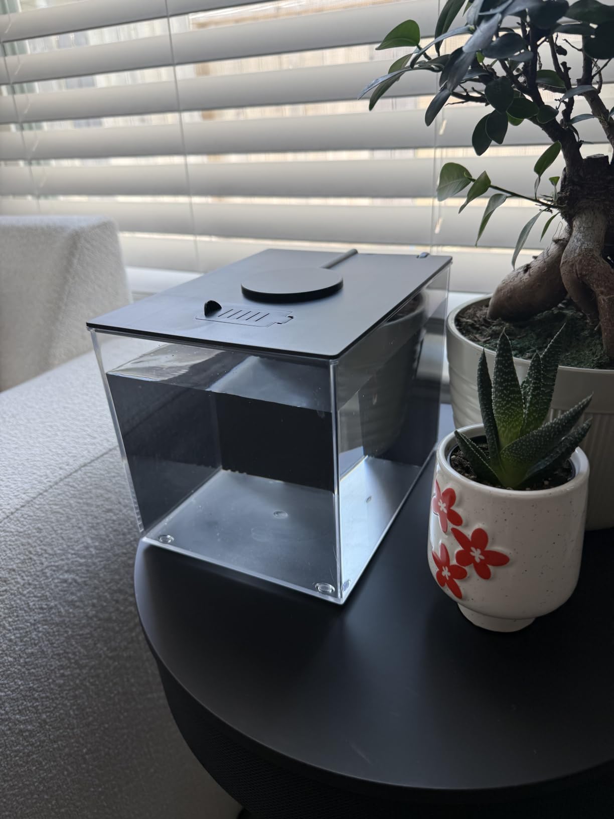 Vehipa Betta Fish Tank 1 Gal (3.7L), Acrylic Nano Aquarium Kit Black customer photo 2
