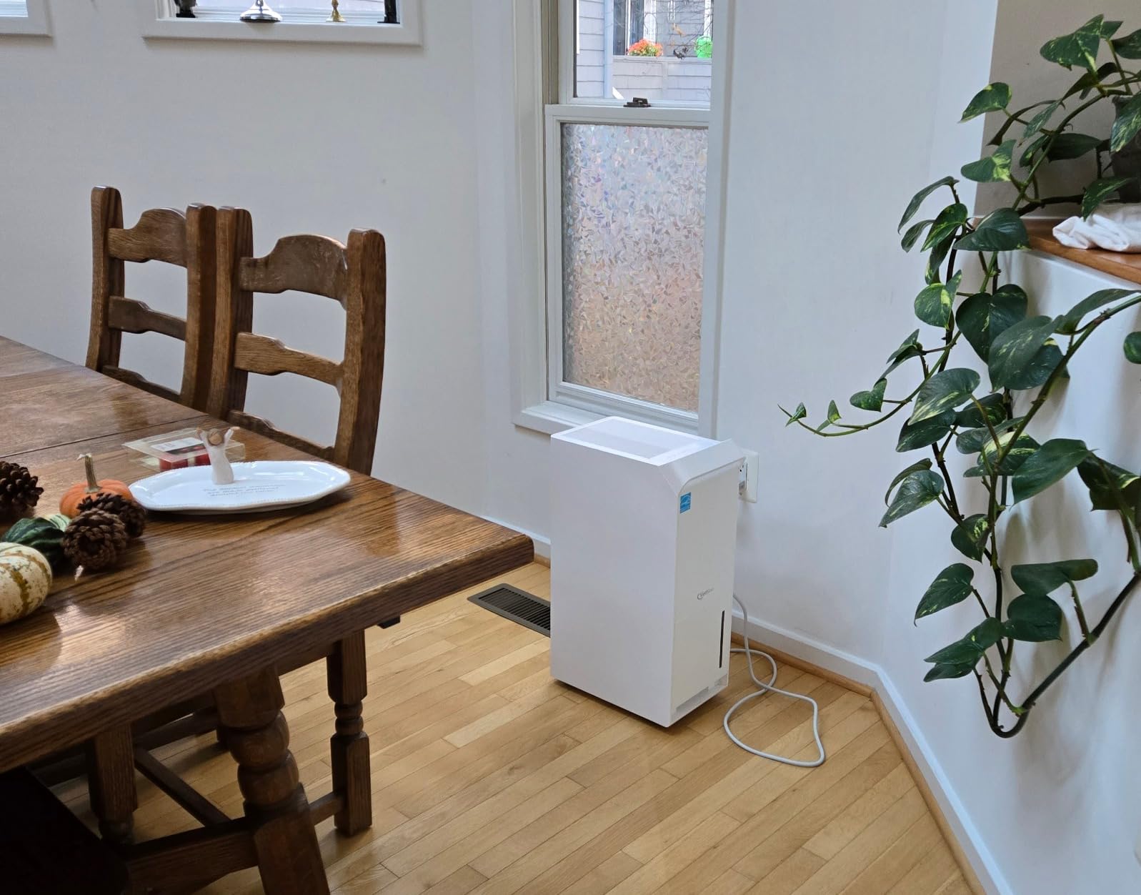 6000 Sq Ft ENERGY STAR Most Efficient Dehumidifier with Pump for Basement customer photo 2