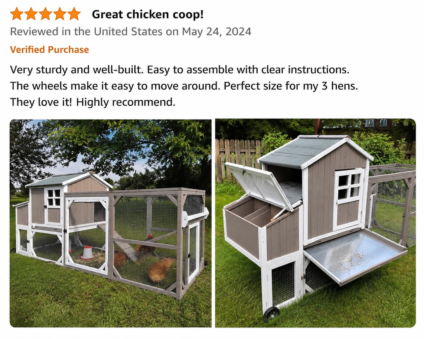 Large Chicken Coop for 4-6 Chickens with 6 Nesting Boxes, Wooden Hen House customer photo 2