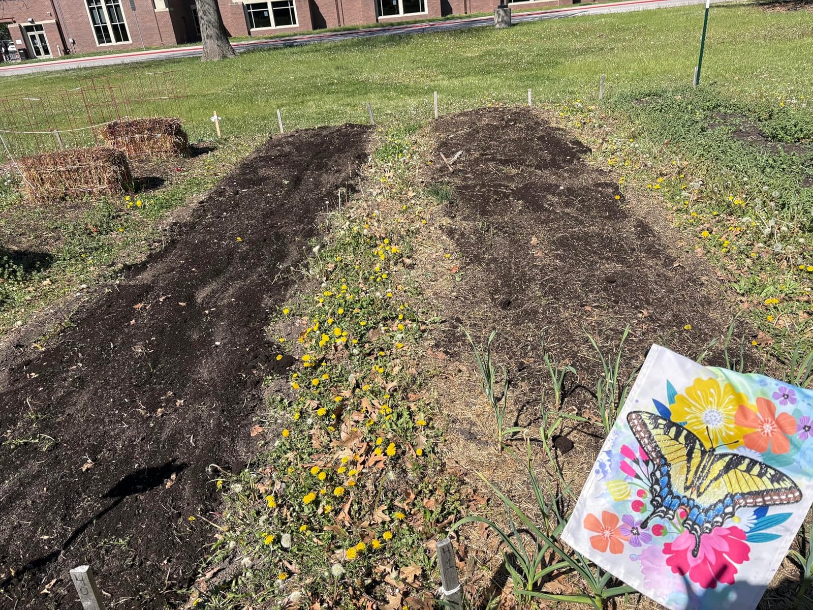 Cordless Tiller Cultivator for Gardening, Battery Powered Garden Rototiller customer photo 1